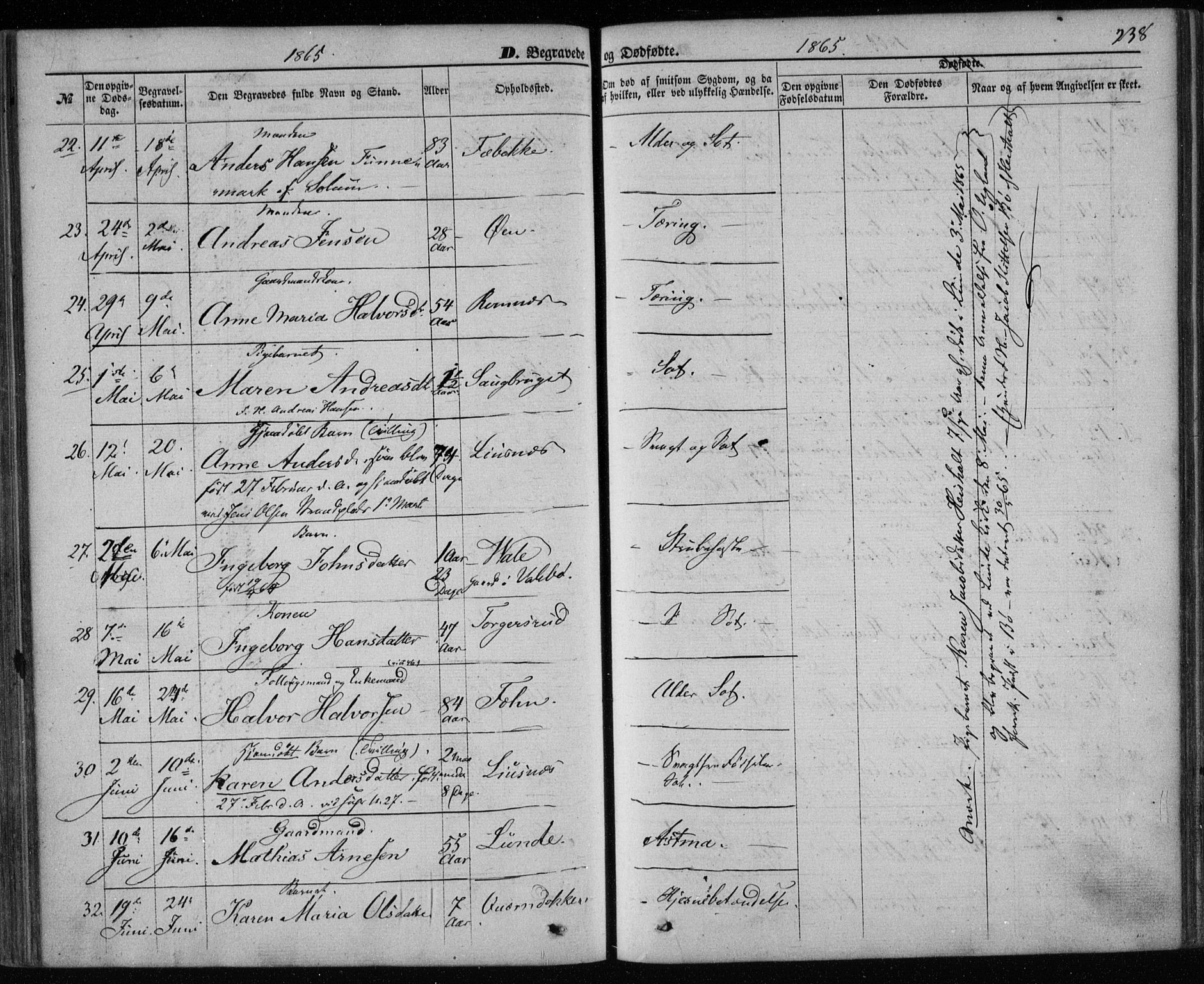 Holla kirkebøker, AV/SAKO-A-272/F/Fa/L0006: Parish register (official) no. 6, 1861-1869, p. 238