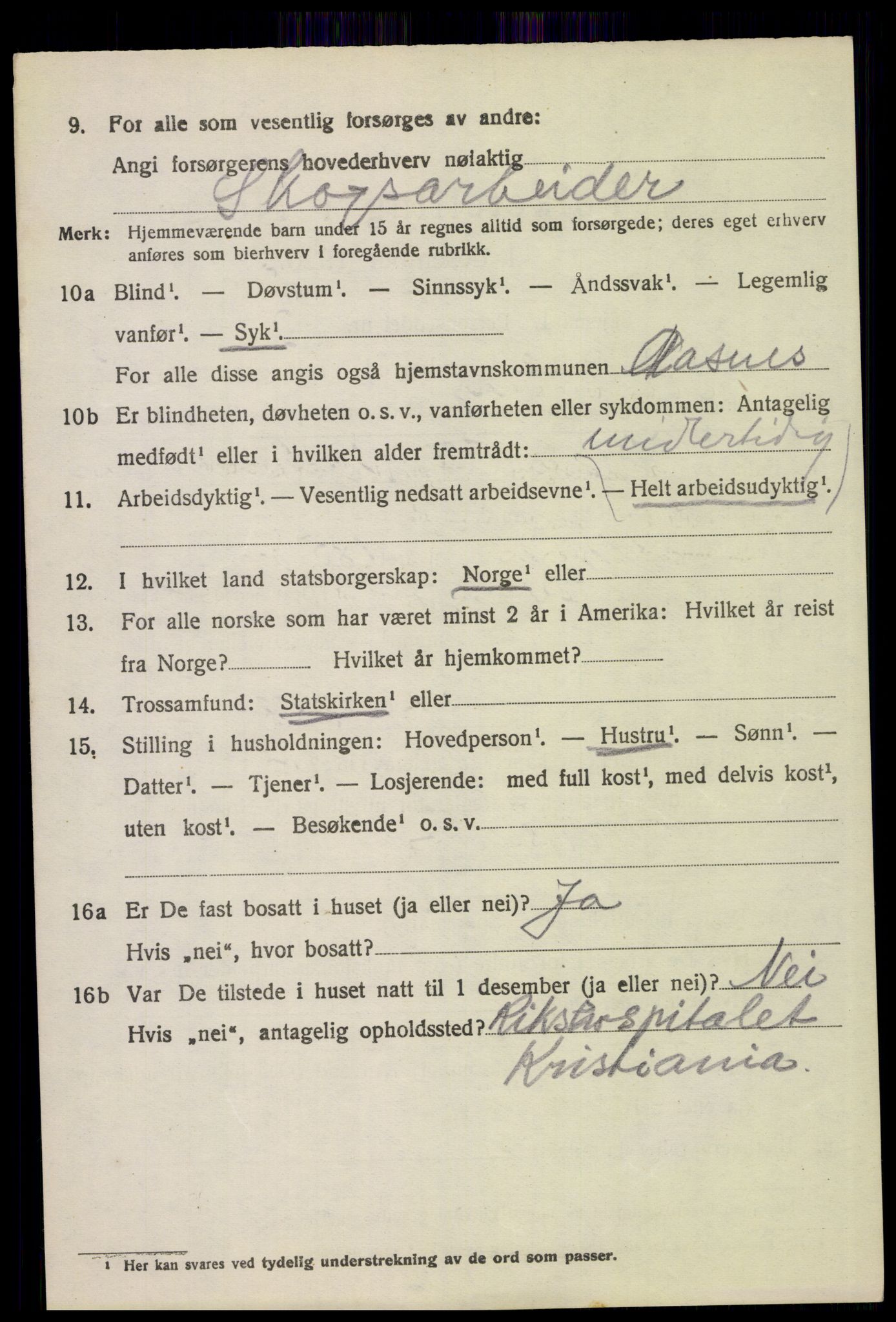 SAH, 1920 census for Åsnes, 1920, p. 13337