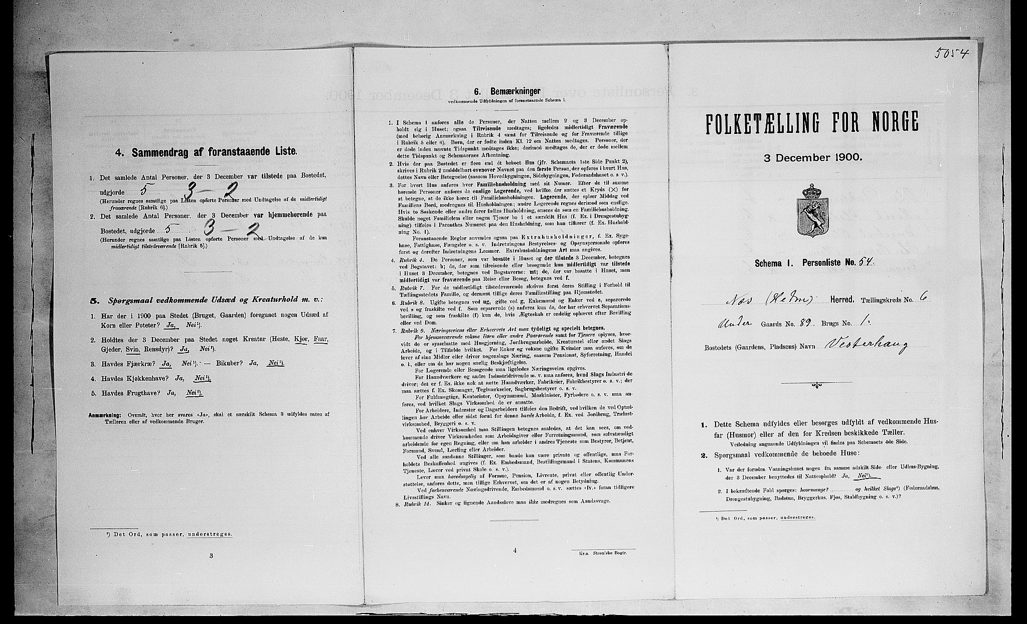 SAH, 1900 census for Nes, 1900, p. 986