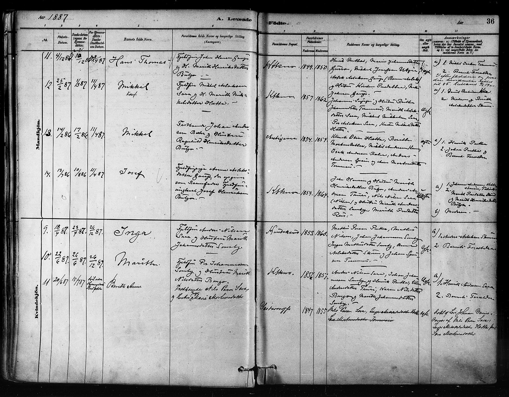 Kautokeino sokneprestembete, AV/SATØ-S-1340/H/Ha/L0004.kirke: Parish register (official) no. 4, 1877-1896, p. 36