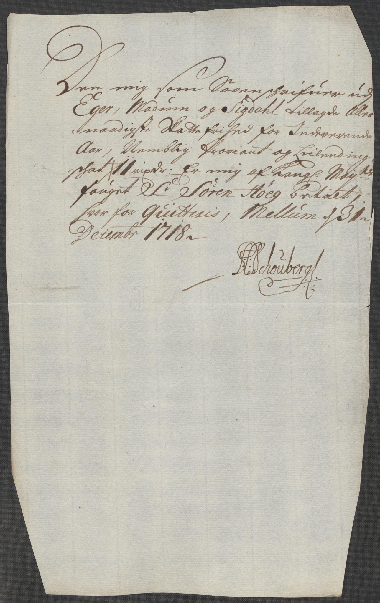 Rentekammeret inntil 1814, Reviderte regnskaper, Fogderegnskap, AV/RA-EA-4092/R31/L1712: Fogderegnskap Hurum, Røyken, Eiker, Lier og Buskerud, 1718, p. 206