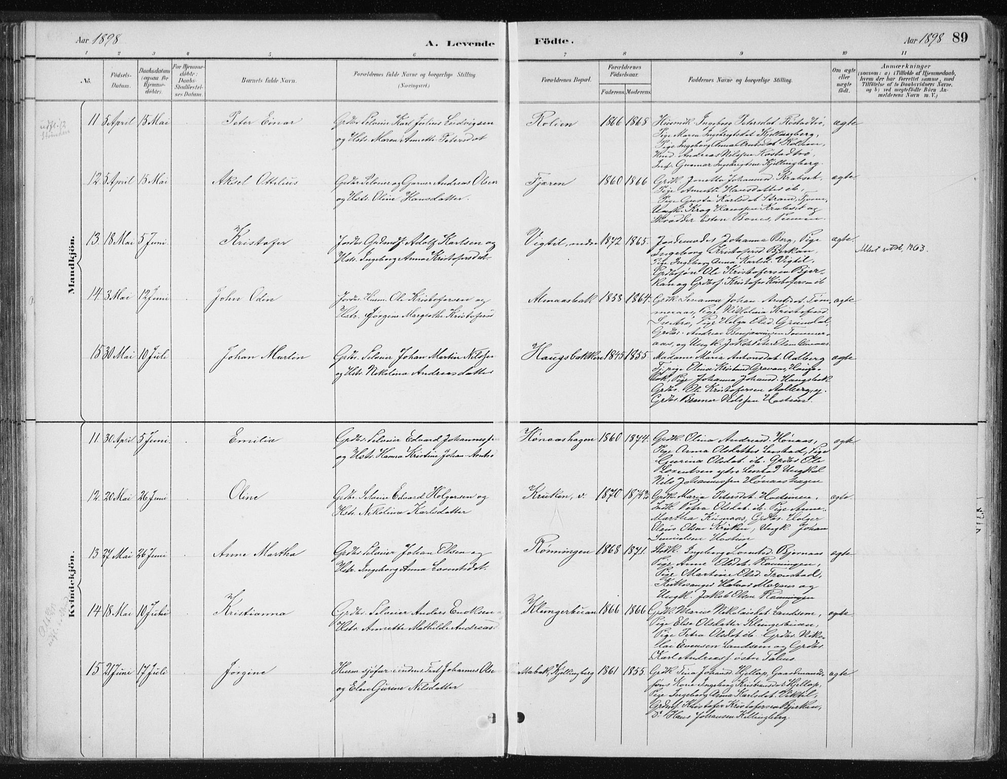 Ministerialprotokoller, klokkerbøker og fødselsregistre - Nord-Trøndelag, AV/SAT-A-1458/701/L0010: Parish register (official) no. 701A10, 1883-1899, p. 89