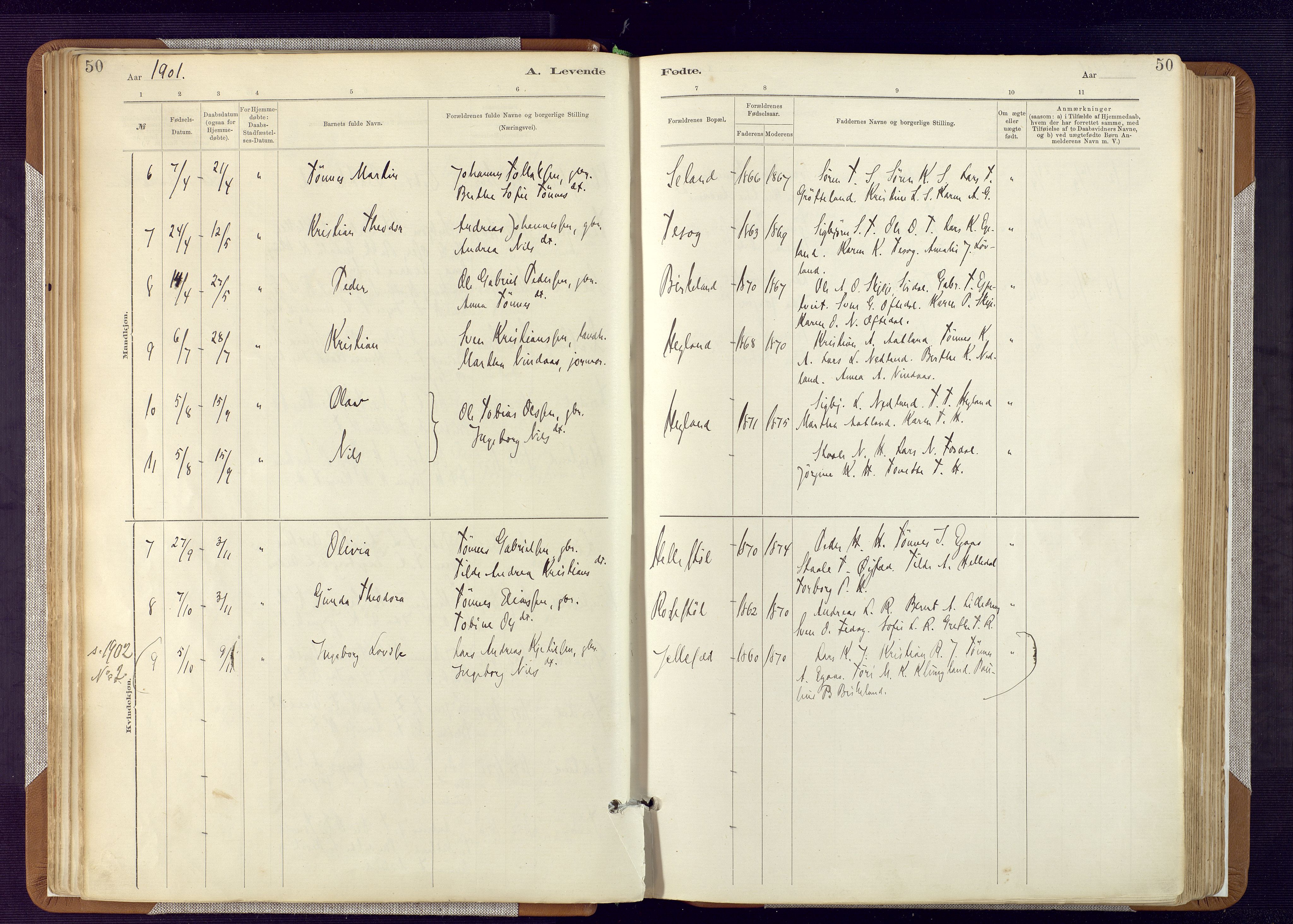 Bakke sokneprestkontor, AV/SAK-1111-0002/F/Fa/Fab/L0003: Parish register (official) no. A 3, 1884-1921, p. 50