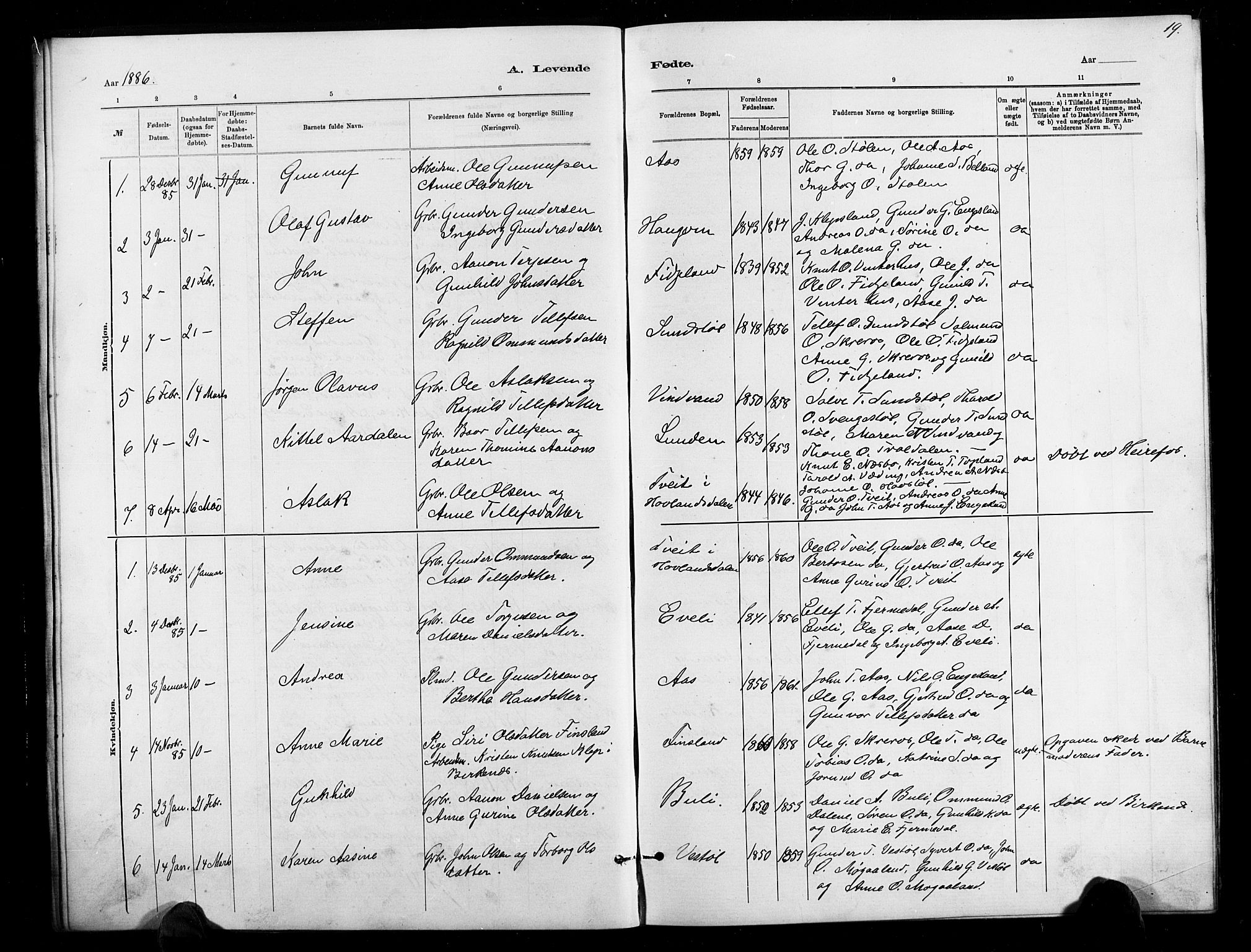 Herefoss sokneprestkontor, SAK/1111-0019/F/Fb/Fbb/L0002: Parish register (copy) no. B 2, 1879-1894, p. 19