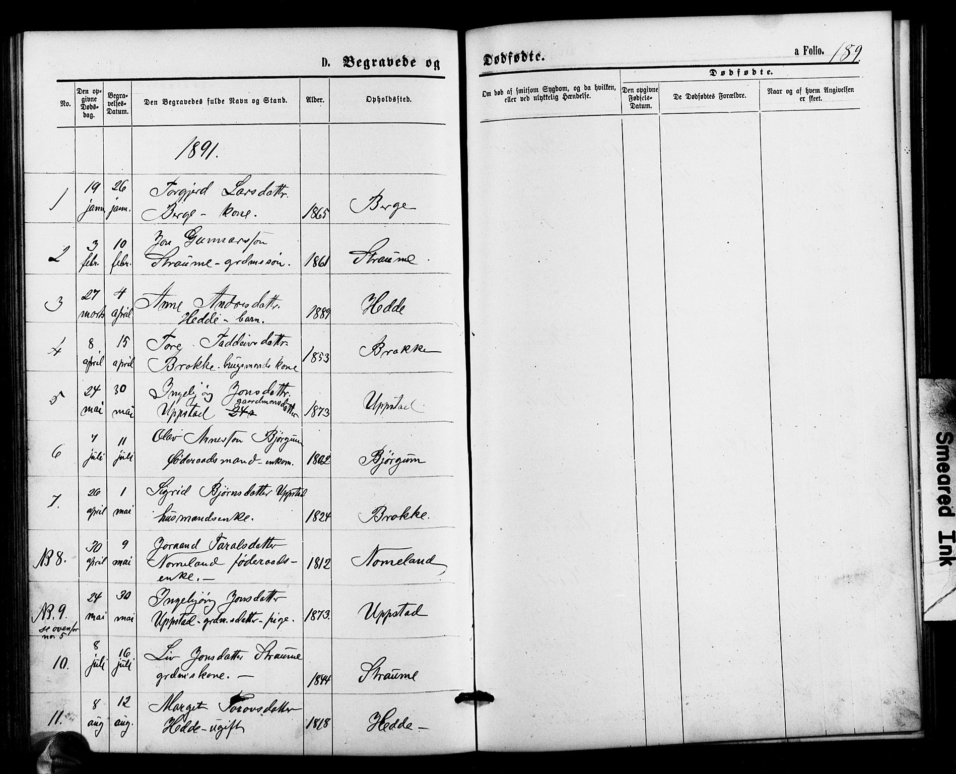 Valle sokneprestkontor, SAK/1111-0044/F/Fb/Fbb/L0002: Parish register (copy) no. B 2, 1875-1921, p. 189