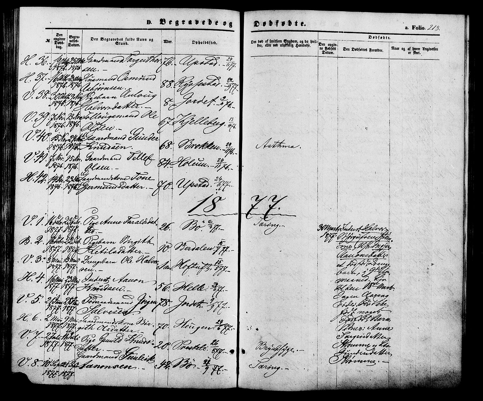 Valle sokneprestkontor, SAK/1111-0044/F/Fa/Fac/L0008: Parish register (official) no. A 8, 1868-1882, p. 218