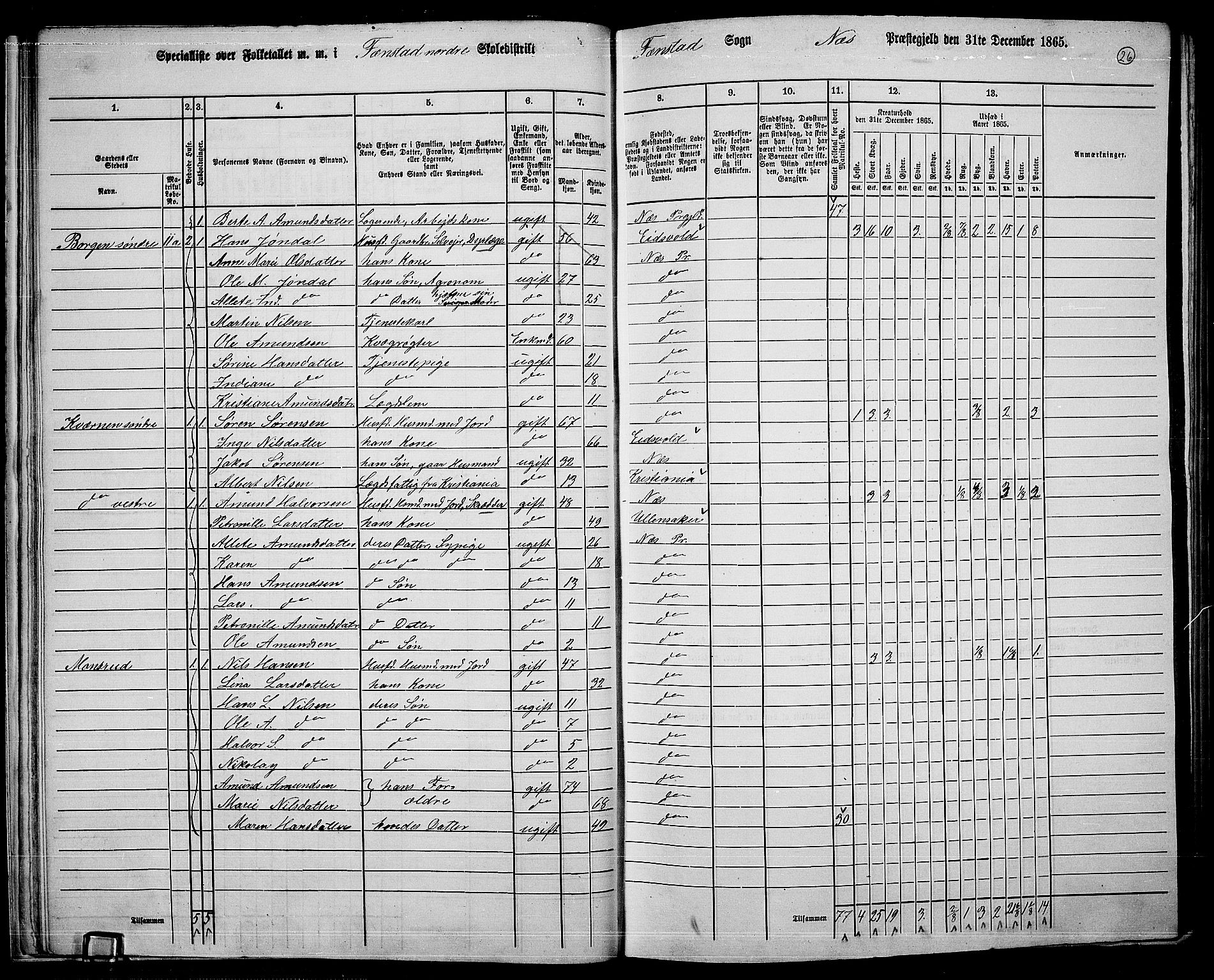 RA, 1865 census for Nes, 1865, p. 25