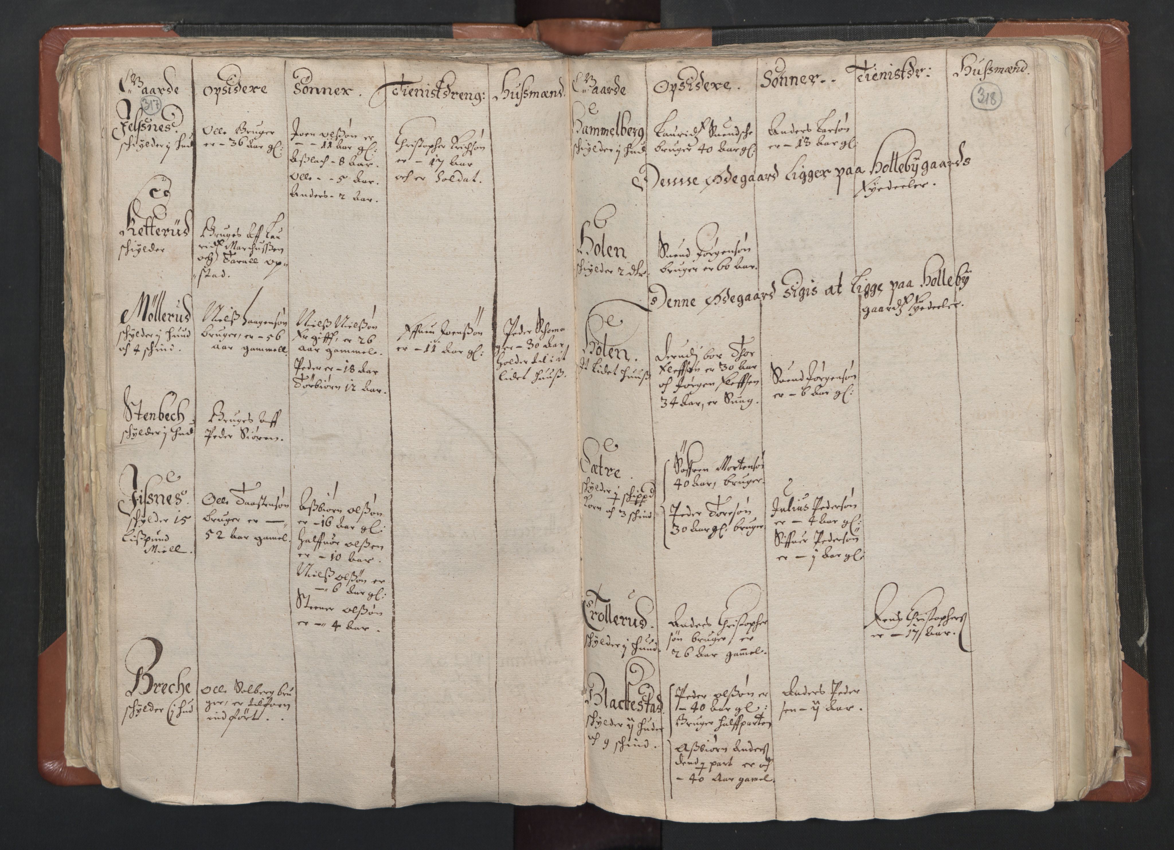 RA, Vicar's Census 1664-1666, no. 1: Nedre Borgesyssel deanery, 1664-1666, p. 317-318