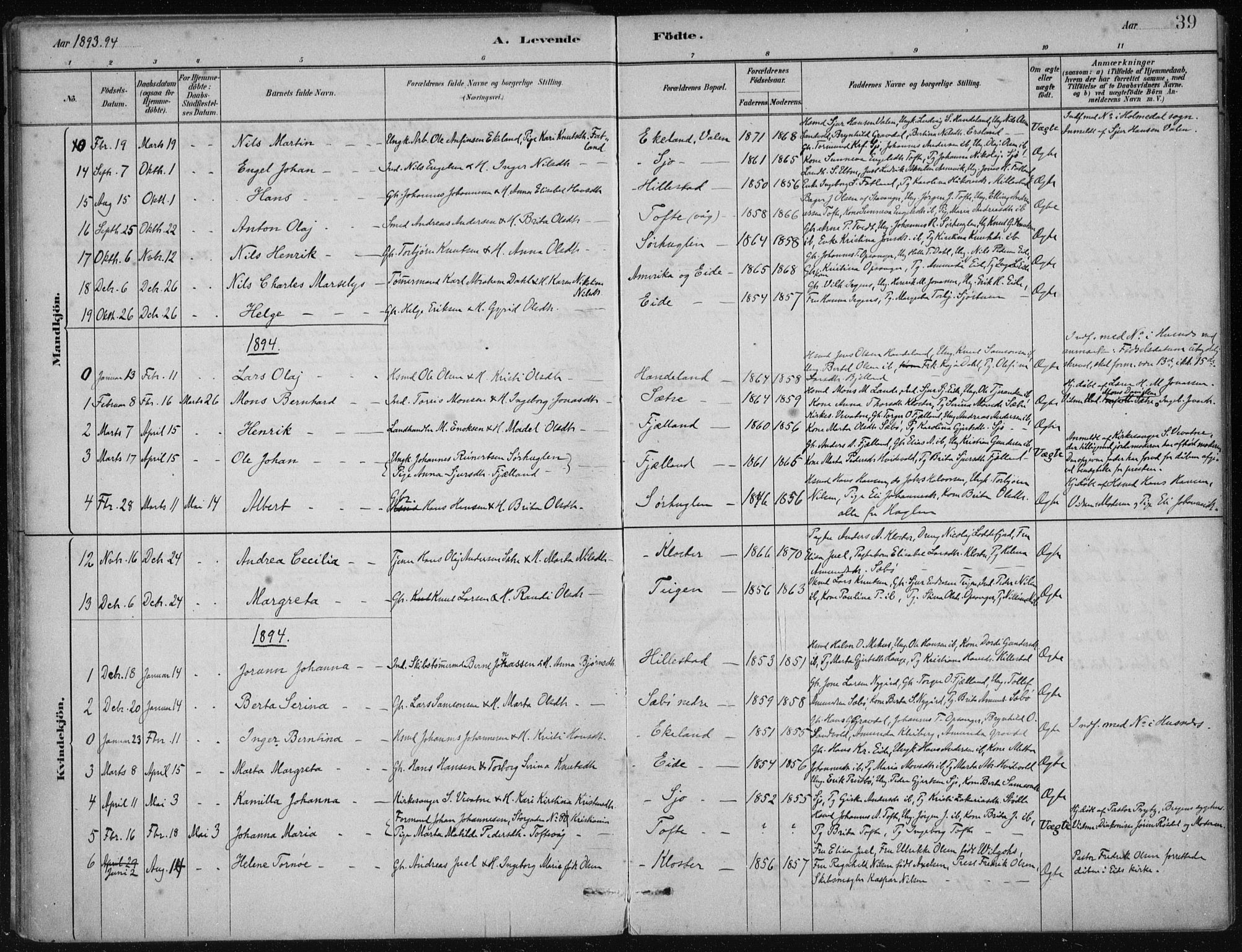 Fjelberg sokneprestembete, SAB/A-75201/H/Haa: Parish register (official) no. C  1, 1879-1918, p. 39