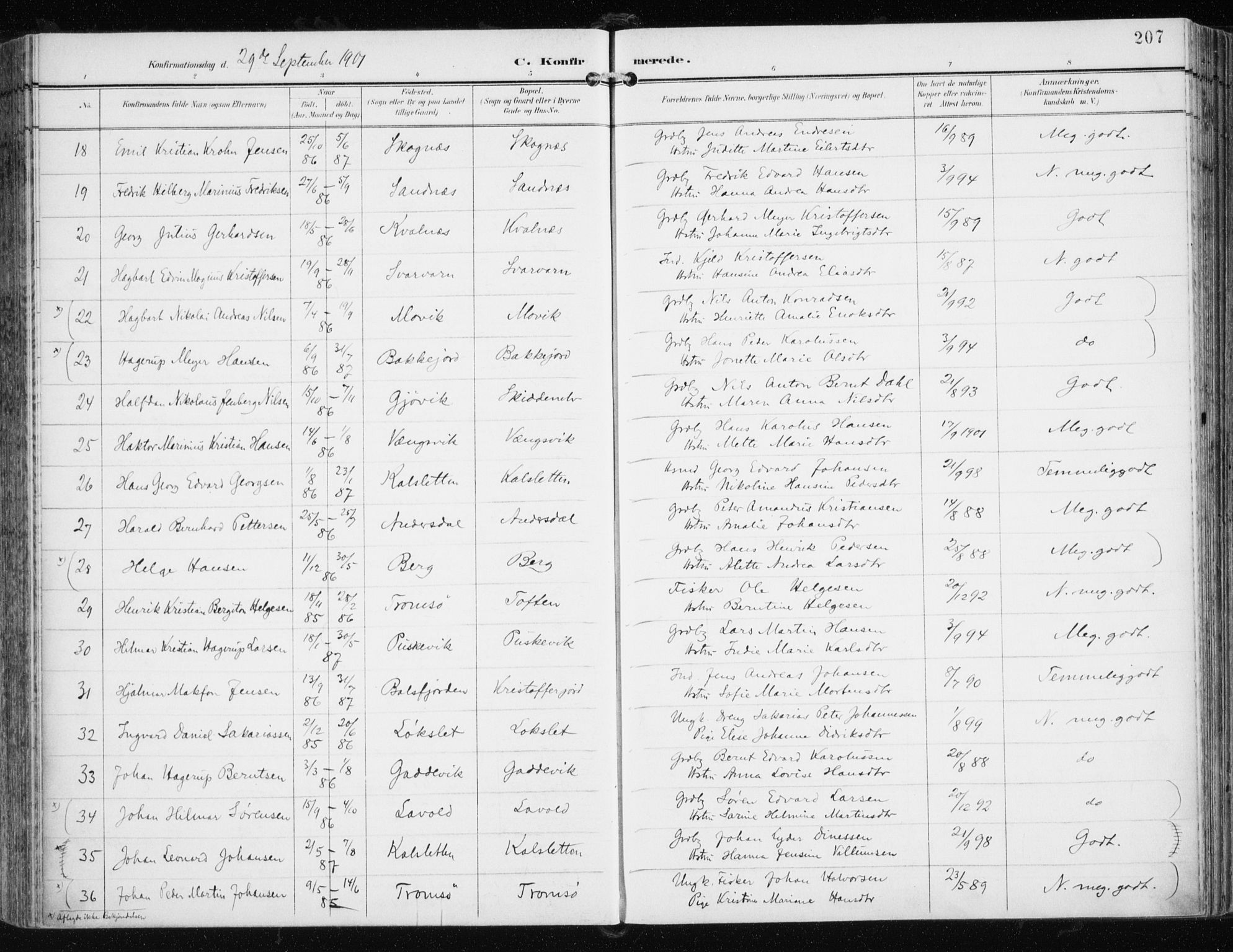 Tromsøysund sokneprestkontor, SATØ/S-1304/G/Ga/L0006kirke: Parish register (official) no. 6, 1897-1906, p. 207