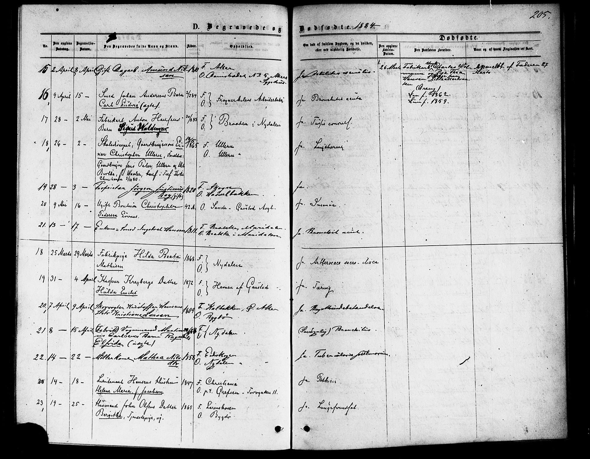 Vestre Aker prestekontor Kirkebøker, AV/SAO-A-10025/F/Fa/L0006: Parish register (official) no. 6, 1873-1886, p. 205