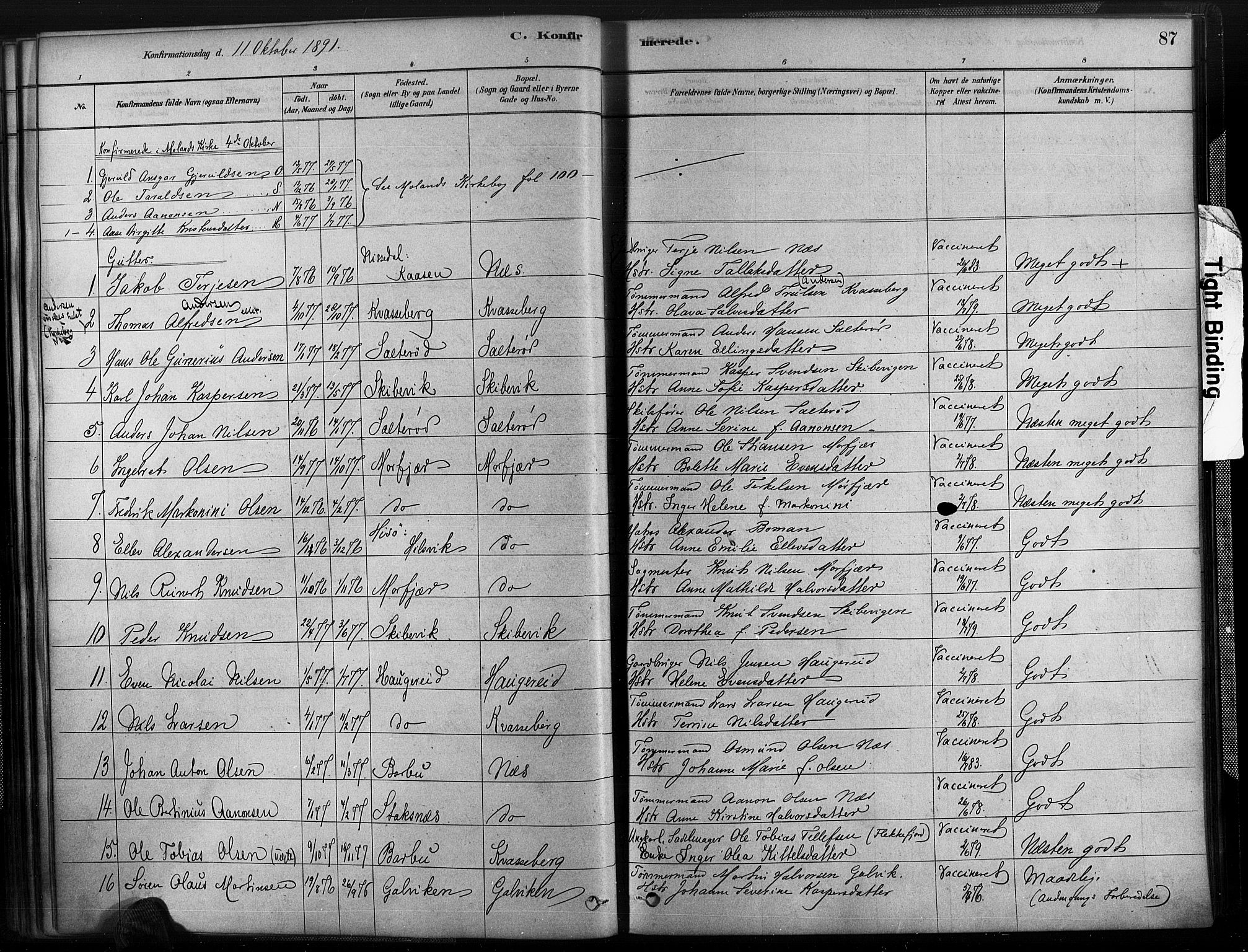 Austre Moland sokneprestkontor, SAK/1111-0001/F/Fa/Fab/L0001: Parish register (official) no. A 1, 1878-1898, p. 87