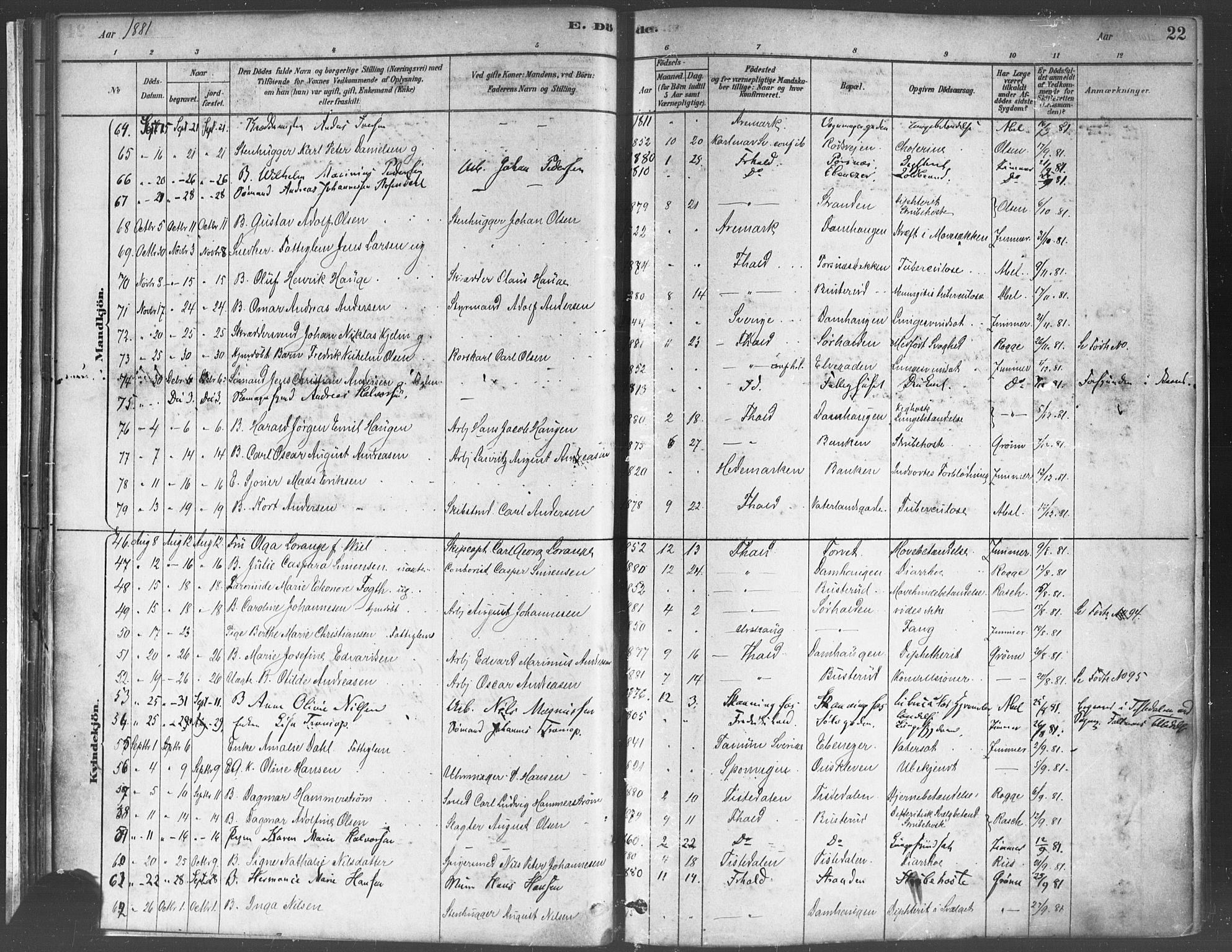 Halden prestekontor Kirkebøker, AV/SAO-A-10909/F/Fa/L0012: Parish register (official) no. I 12, 1878-1889, p. 22