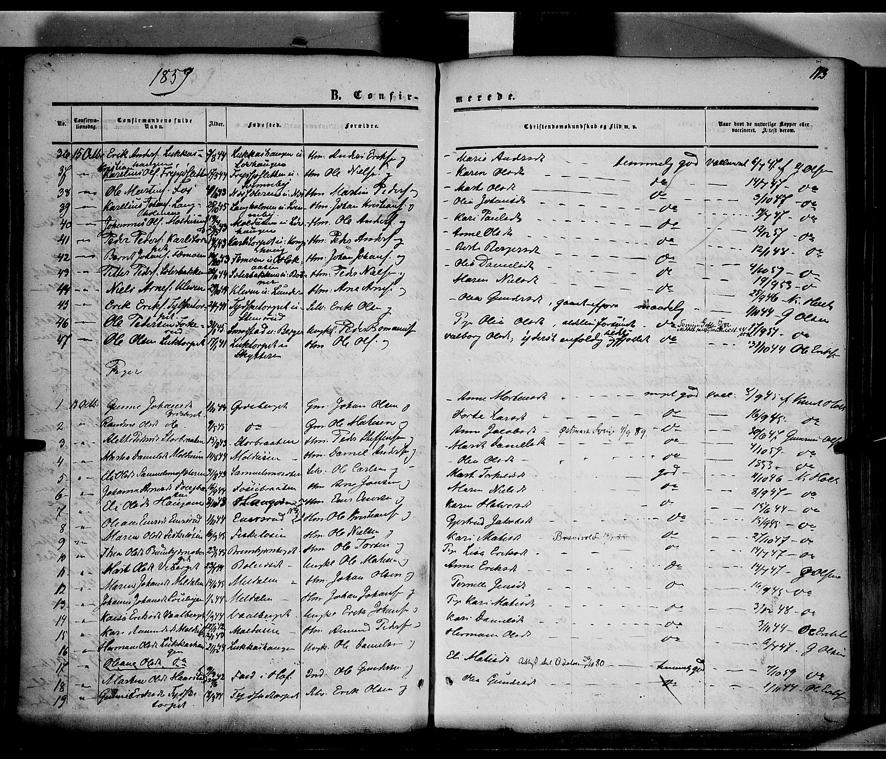 Grue prestekontor, AV/SAH-PREST-036/H/Ha/Haa/L0009: Parish register (official) no. 9, 1859-1863, p. 113