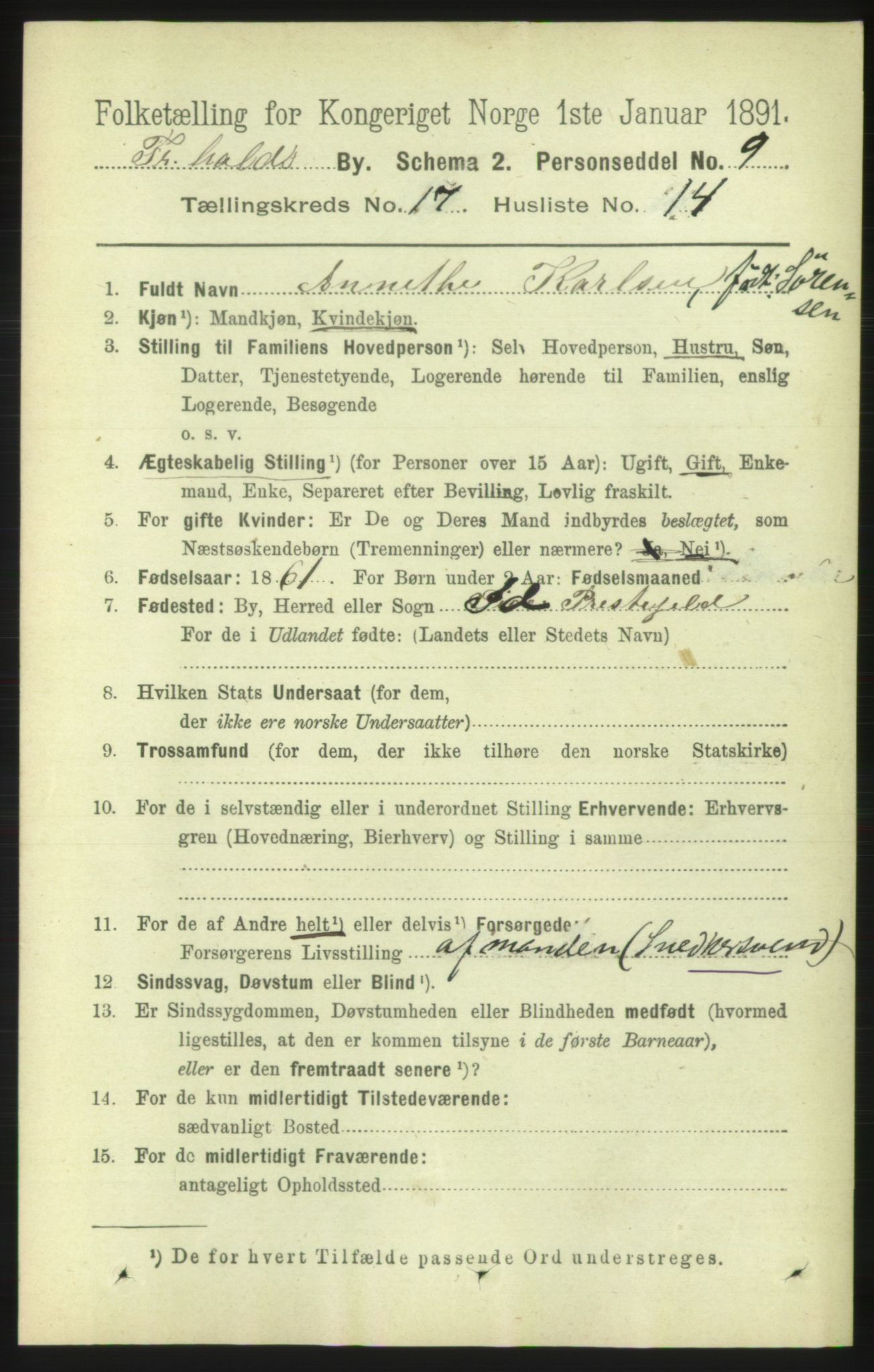 RA, 1891 census for 0101 Fredrikshald, 1891, p. 11109