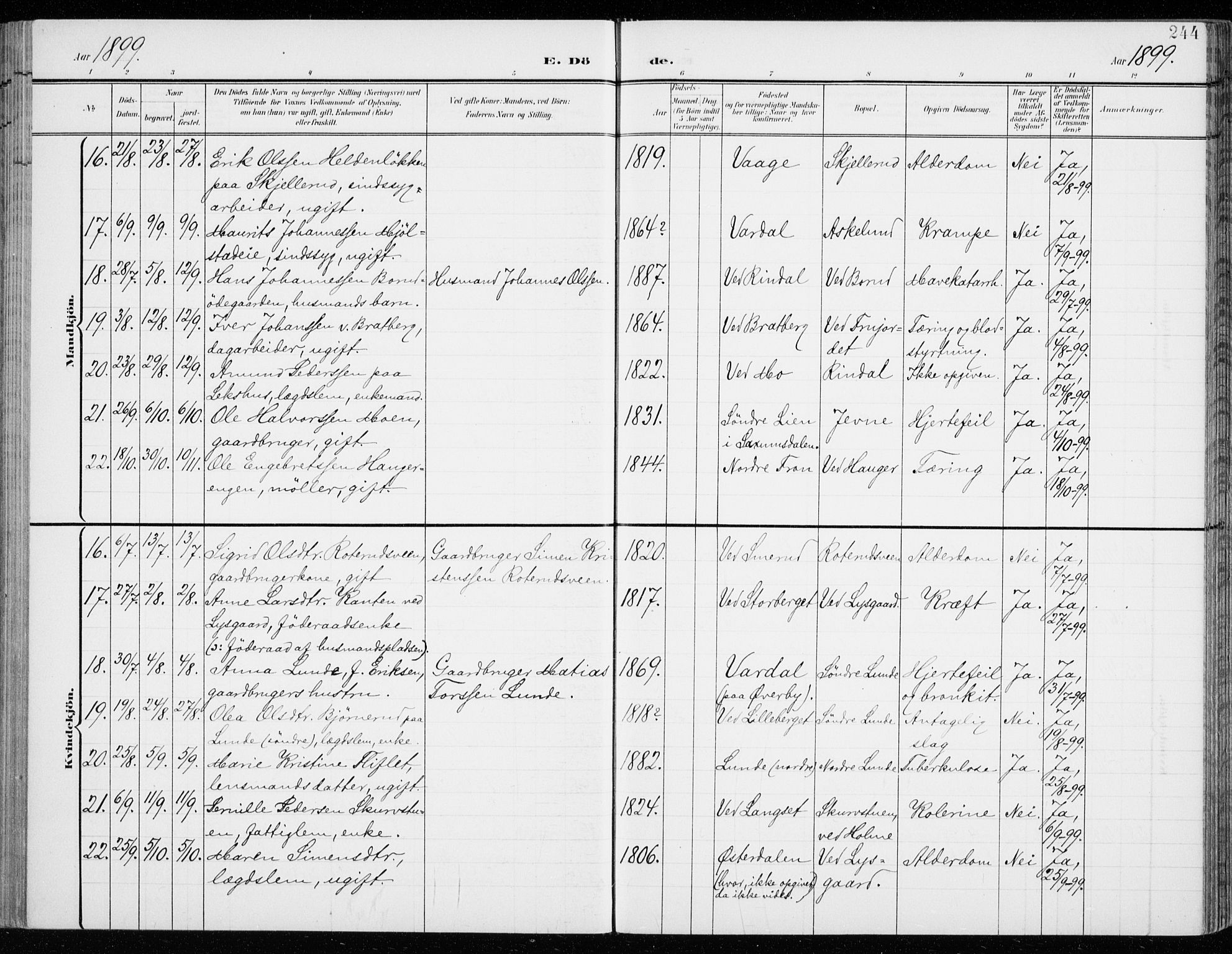 Fåberg prestekontor, SAH/PREST-086/H/Ha/Haa/L0011: Parish register (official) no. 11, 1899-1913, p. 244