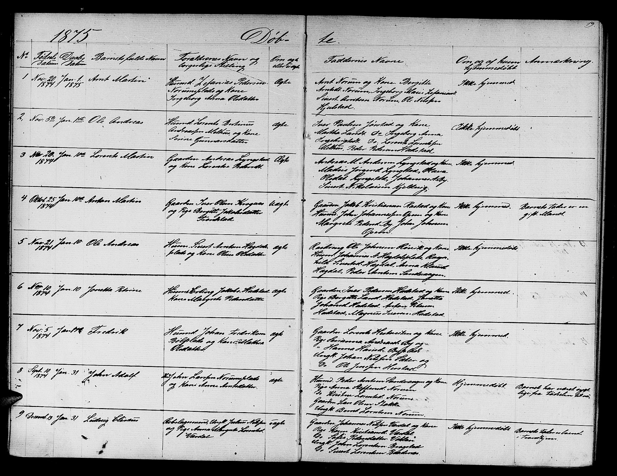 Ministerialprotokoller, klokkerbøker og fødselsregistre - Nord-Trøndelag, SAT/A-1458/730/L0300: Parish register (copy) no. 730C03, 1872-1879, p. 19