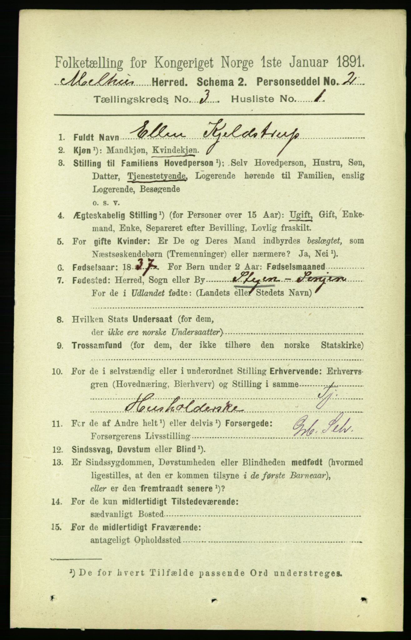 RA, 1891 census for 1653 Melhus, 1891, p. 1384