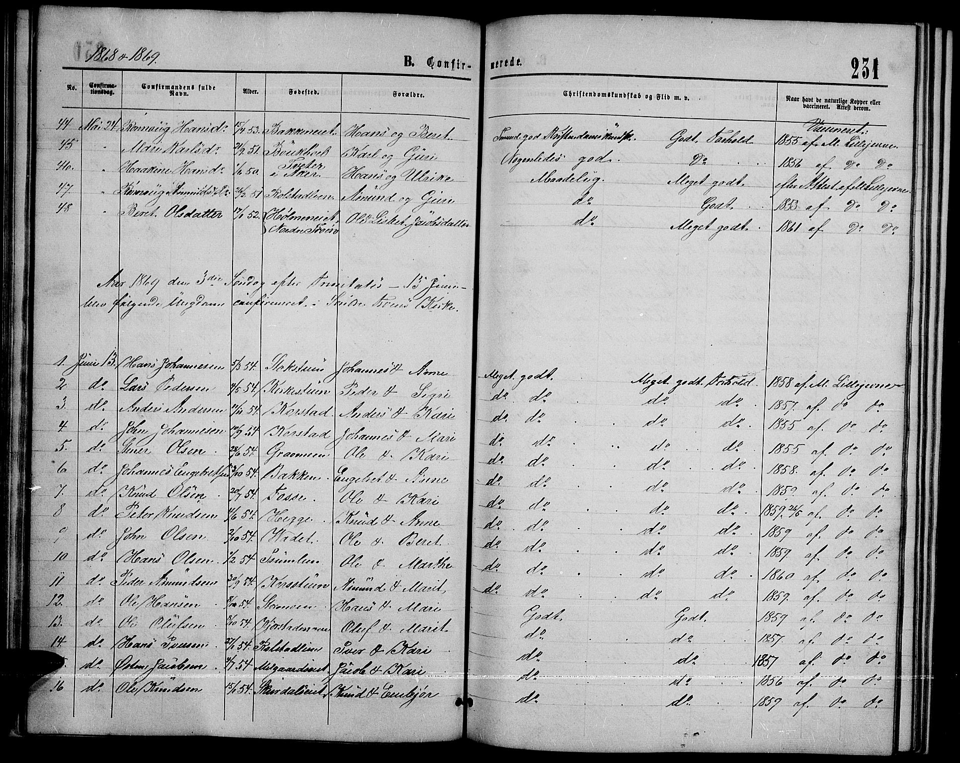 Sør-Fron prestekontor, SAH/PREST-010/H/Ha/Hab/L0002: Parish register (copy) no. 2, 1864-1883, p. 231