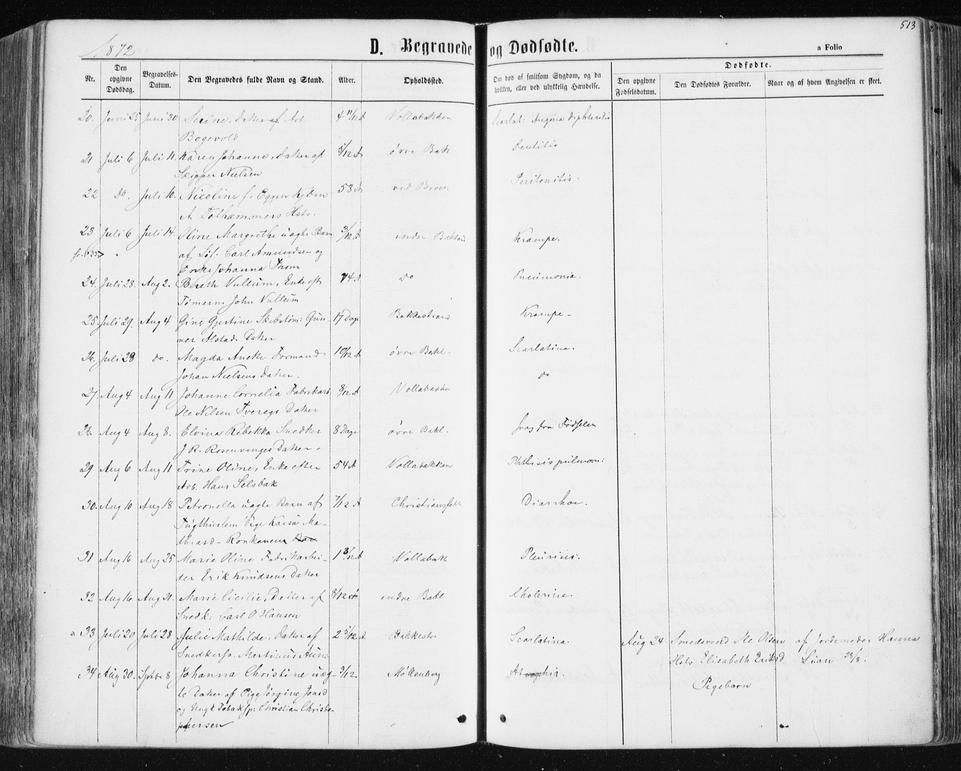 Ministerialprotokoller, klokkerbøker og fødselsregistre - Sør-Trøndelag, AV/SAT-A-1456/604/L0186: Parish register (official) no. 604A07, 1866-1877, p. 513