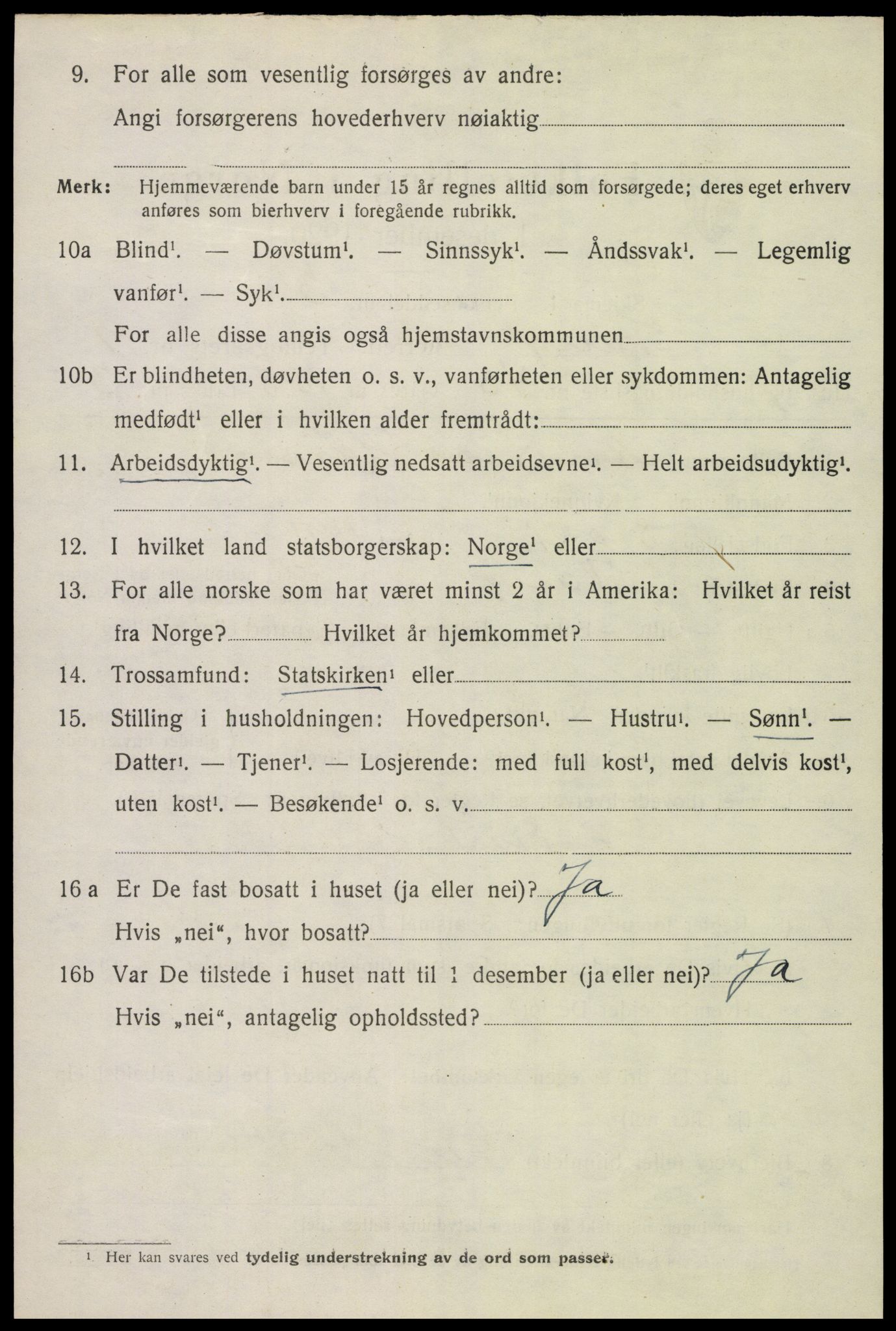 SAH, 1920 census for Vang (Hedmark), 1920, p. 18608