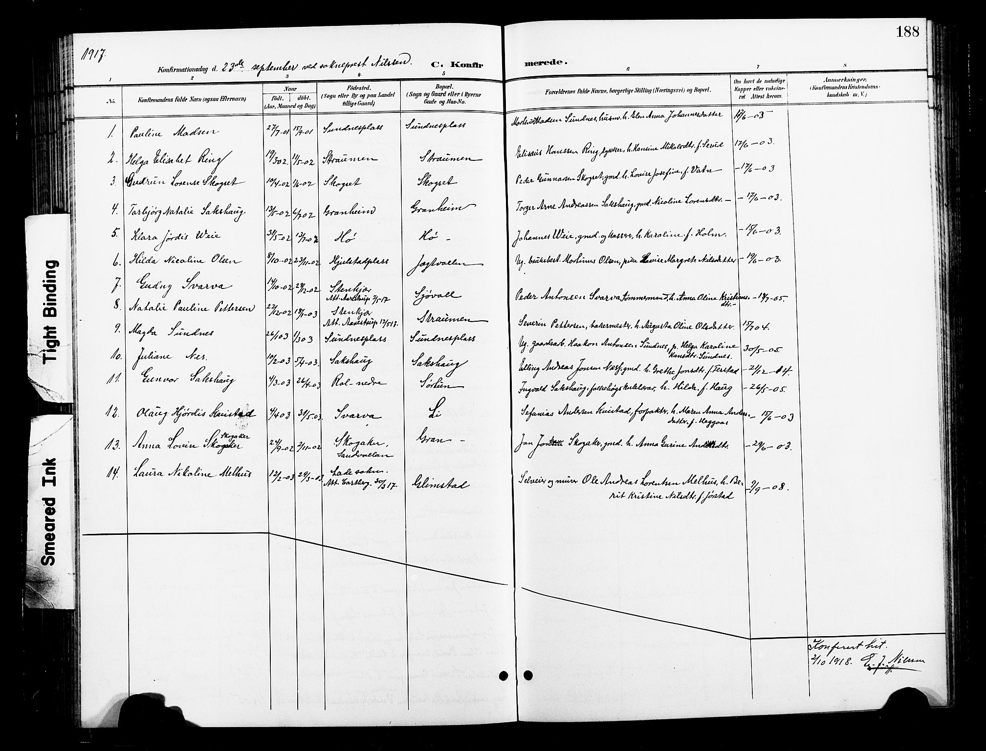 Ministerialprotokoller, klokkerbøker og fødselsregistre - Nord-Trøndelag, AV/SAT-A-1458/730/L0302: Parish register (copy) no. 730C05, 1898-1924, p. 188