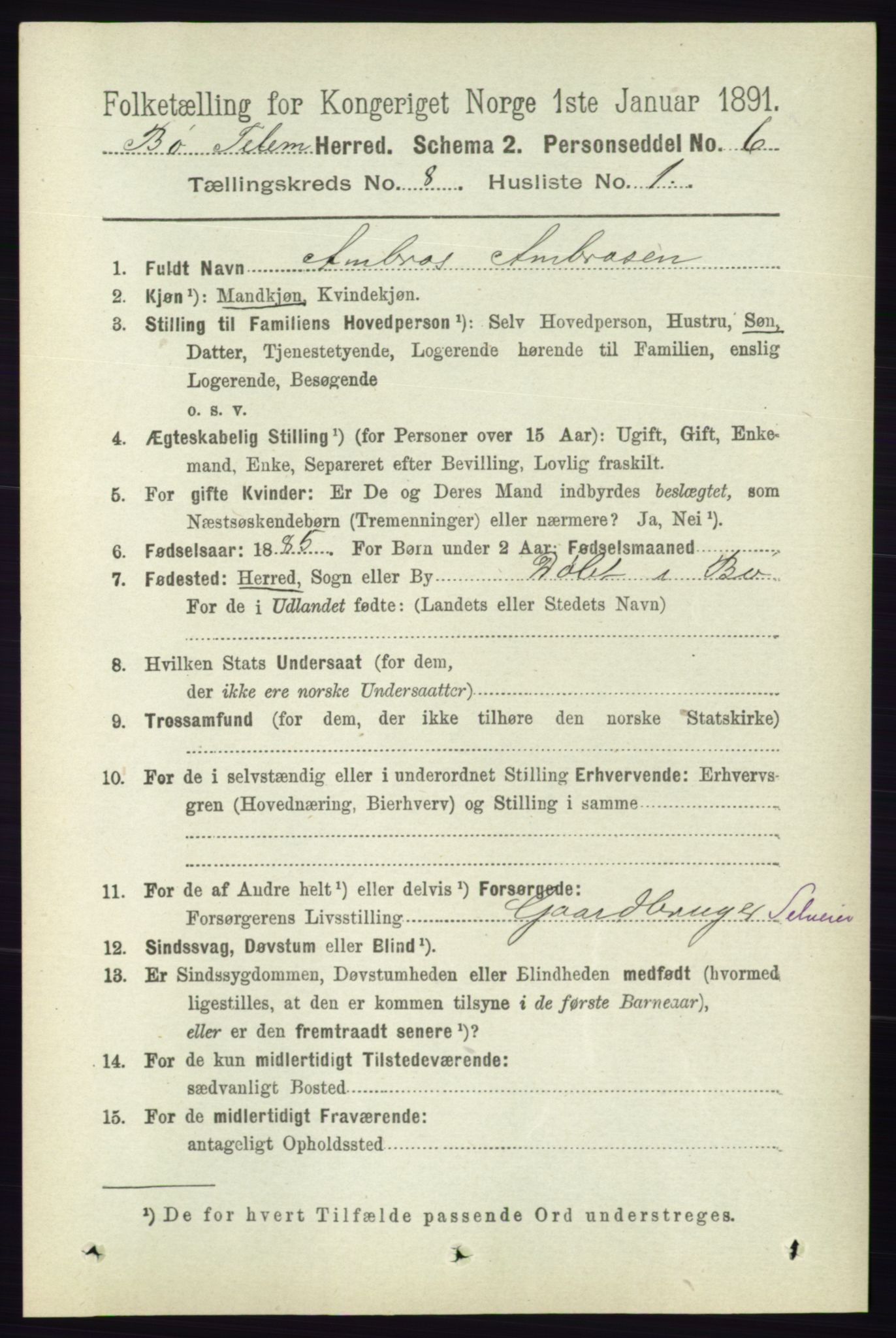 RA, 1891 census for 0821 Bø, 1891, p. 2564