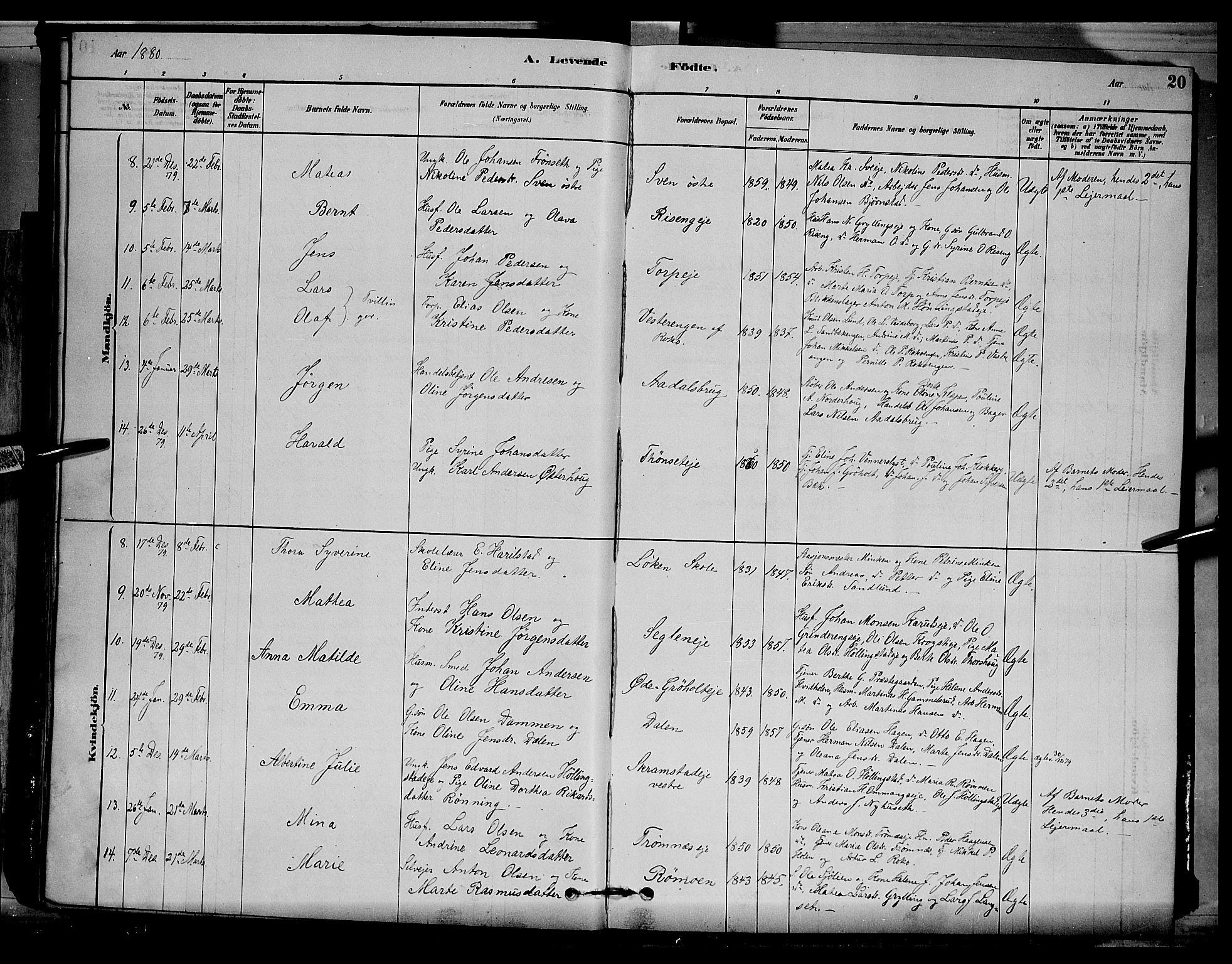 Løten prestekontor, SAH/PREST-022/L/La/L0005: Parish register (copy) no. 5, 1878-1891, p. 20