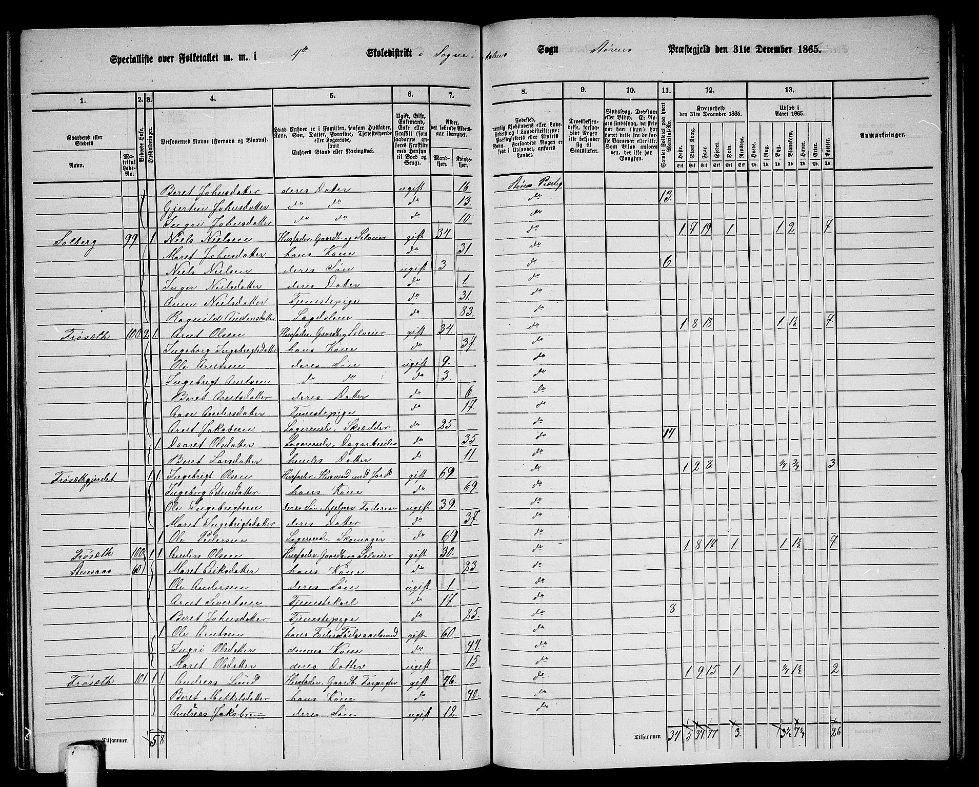 RA, 1865 census for Støren, 1865, p. 270