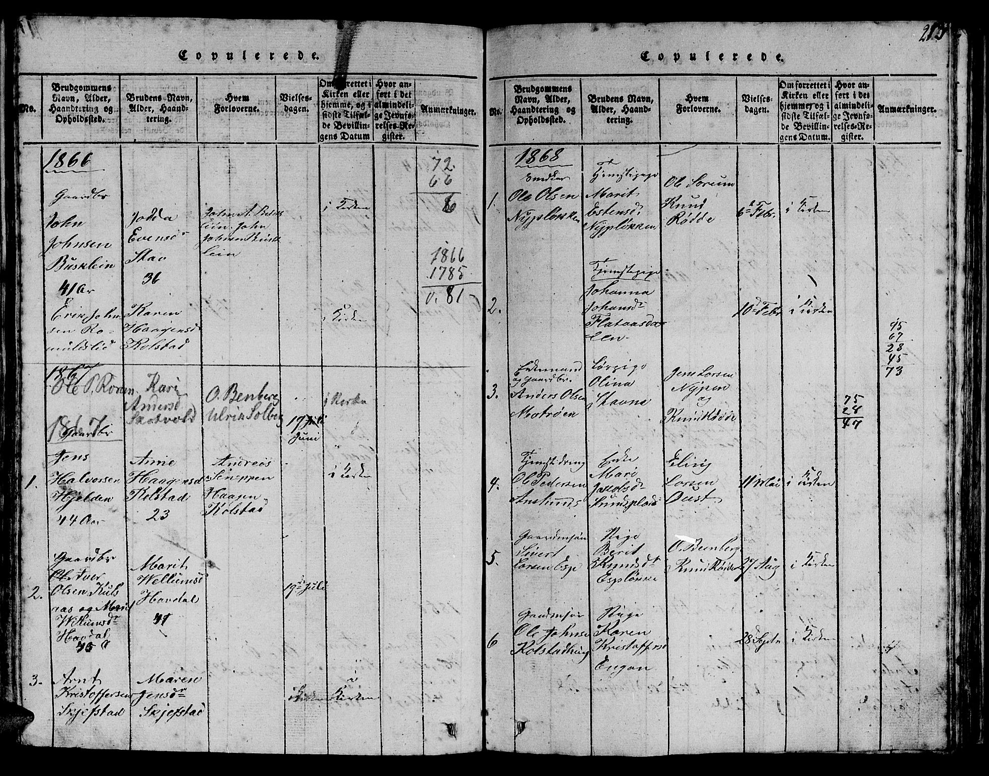 Ministerialprotokoller, klokkerbøker og fødselsregistre - Sør-Trøndelag, SAT/A-1456/613/L0393: Parish register (copy) no. 613C01, 1816-1886, p. 213