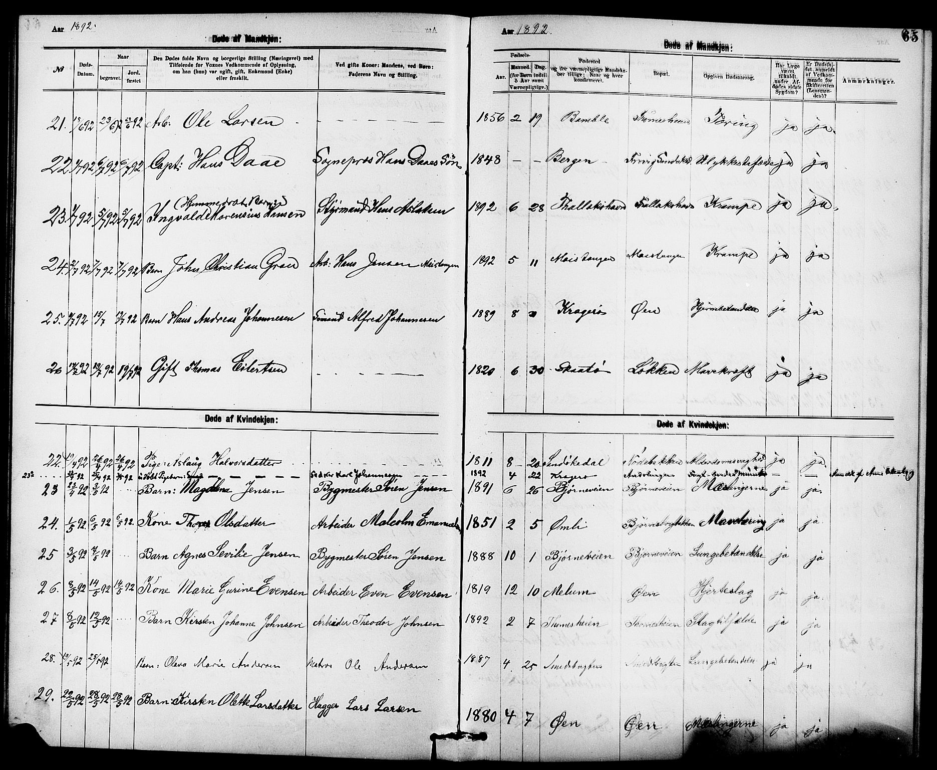 Kragerø kirkebøker, AV/SAKO-A-278/G/Ga/L0008: Parish register (copy) no. 8, 1881-1914, p. 65