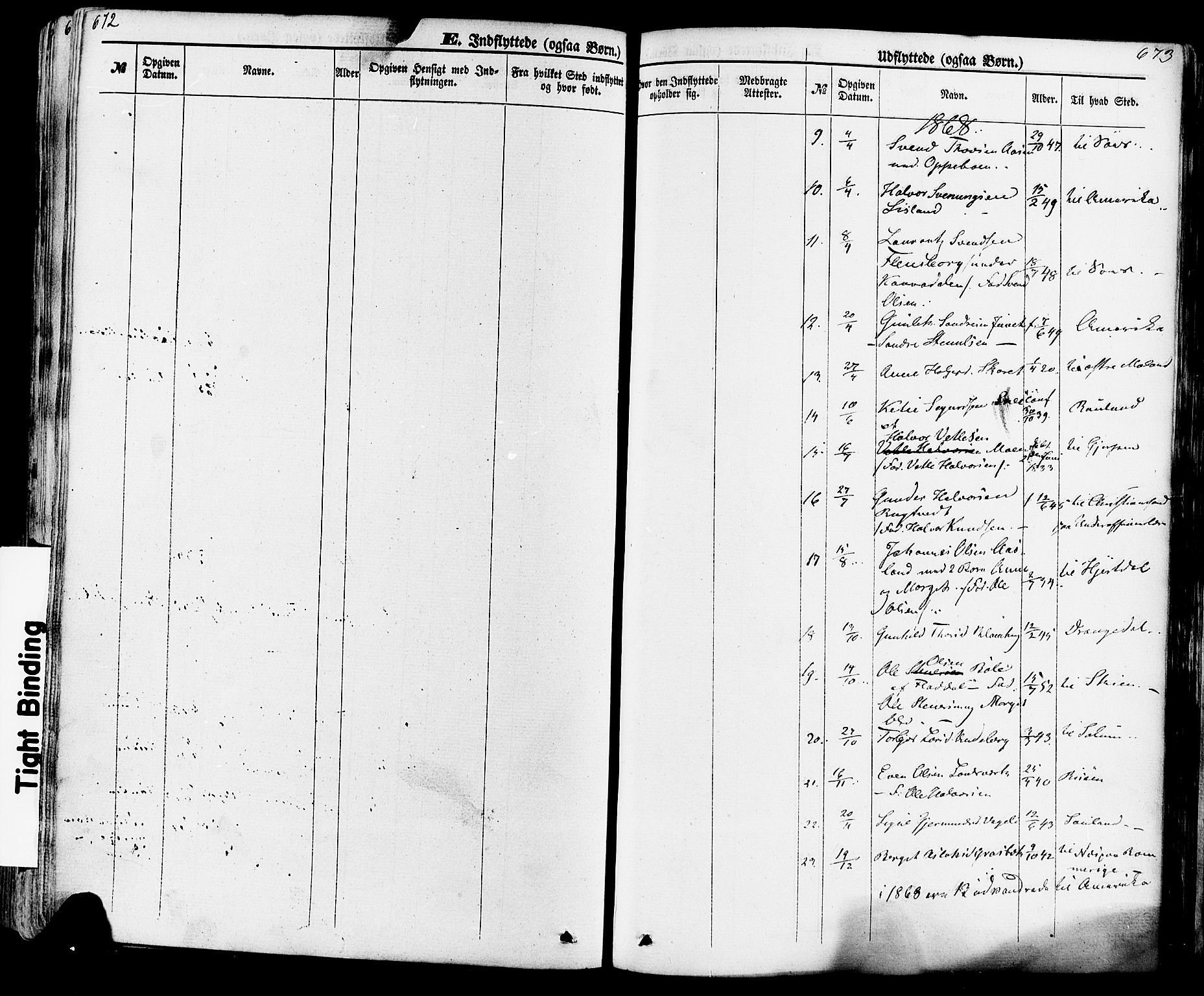 Seljord kirkebøker, SAKO/A-20/F/Fa/L0013: Parish register (official) no. I 13, 1866-1876, p. 672-673