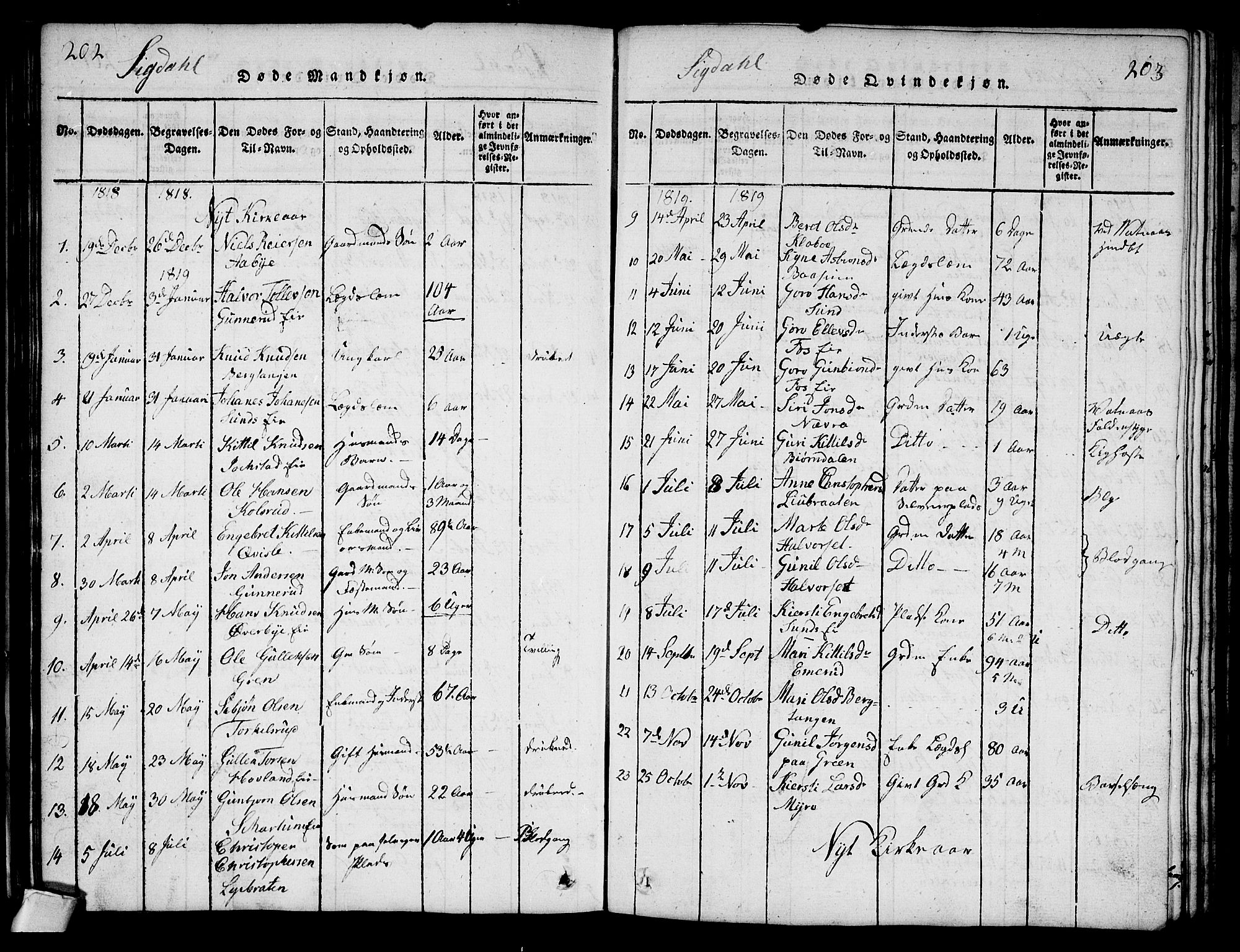 Sigdal kirkebøker, AV/SAKO-A-245/G/Ga/L0001: Parish register (copy) no. I 1 /1, 1816-1835, p. 202-203