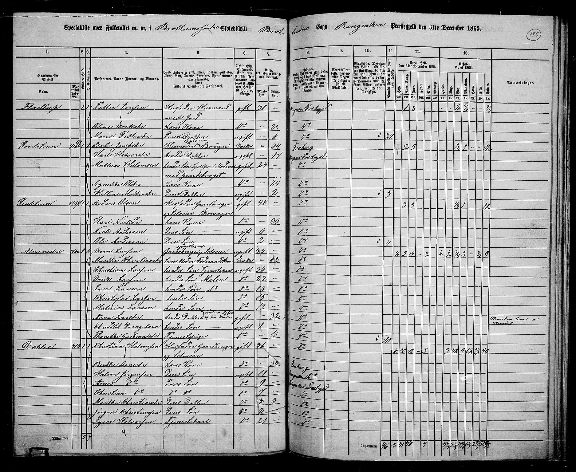 RA, 1865 census for Ringsaker, 1865, p. 427