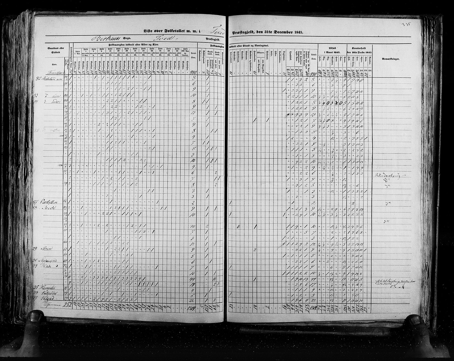 RA, Census 1845, vol. 5: Bratsberg amt og Nedenes og Råbyggelaget amt, 1845, p. 335