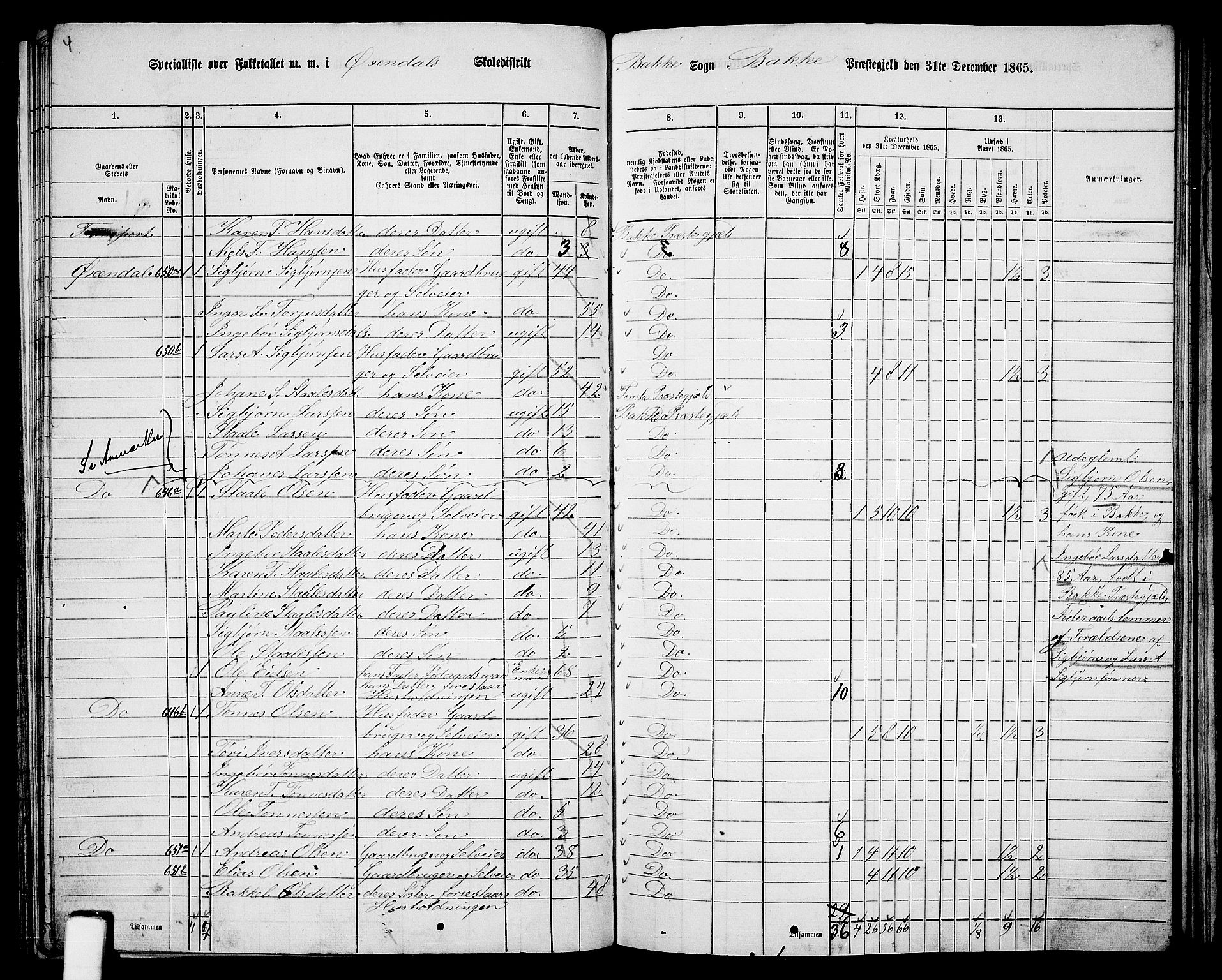 RA, 1865 census for Bakke, 1865, p. 65