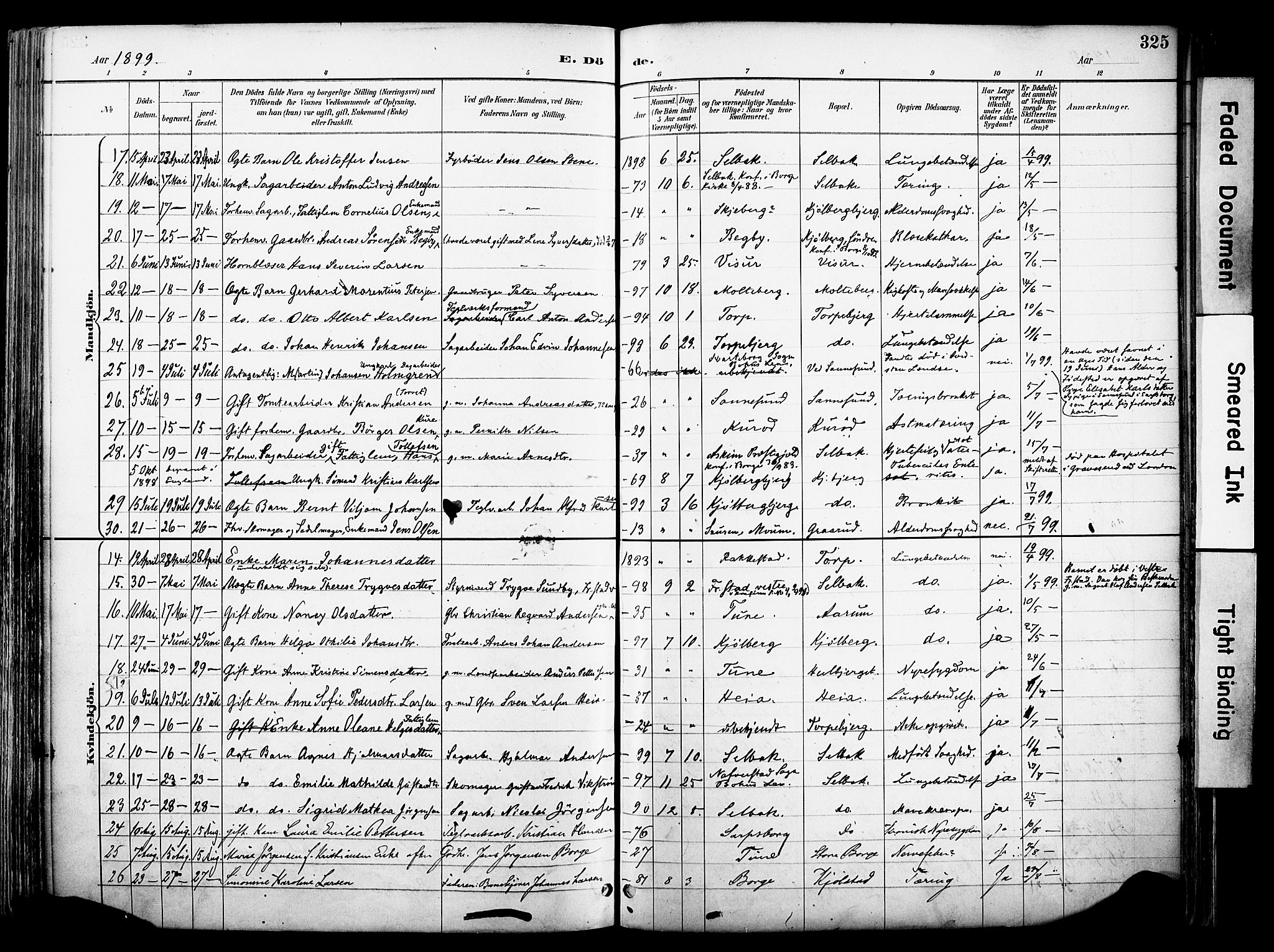 Borge prestekontor Kirkebøker, AV/SAO-A-10903/F/Fa/L0008: Parish register (official) no. I 8B, 1887-1902, p. 325