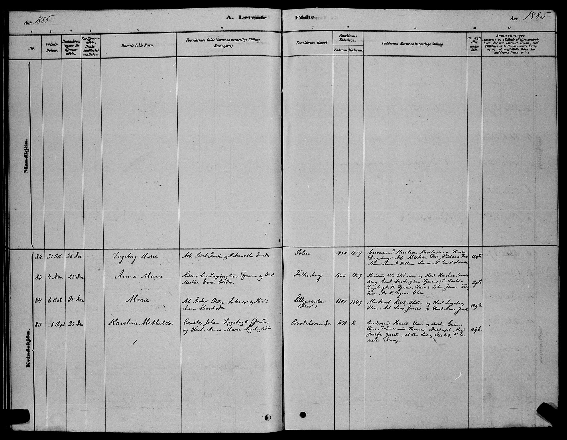 Ministerialprotokoller, klokkerbøker og fødselsregistre - Sør-Trøndelag, AV/SAT-A-1456/606/L0312: Parish register (copy) no. 606C08, 1878-1894