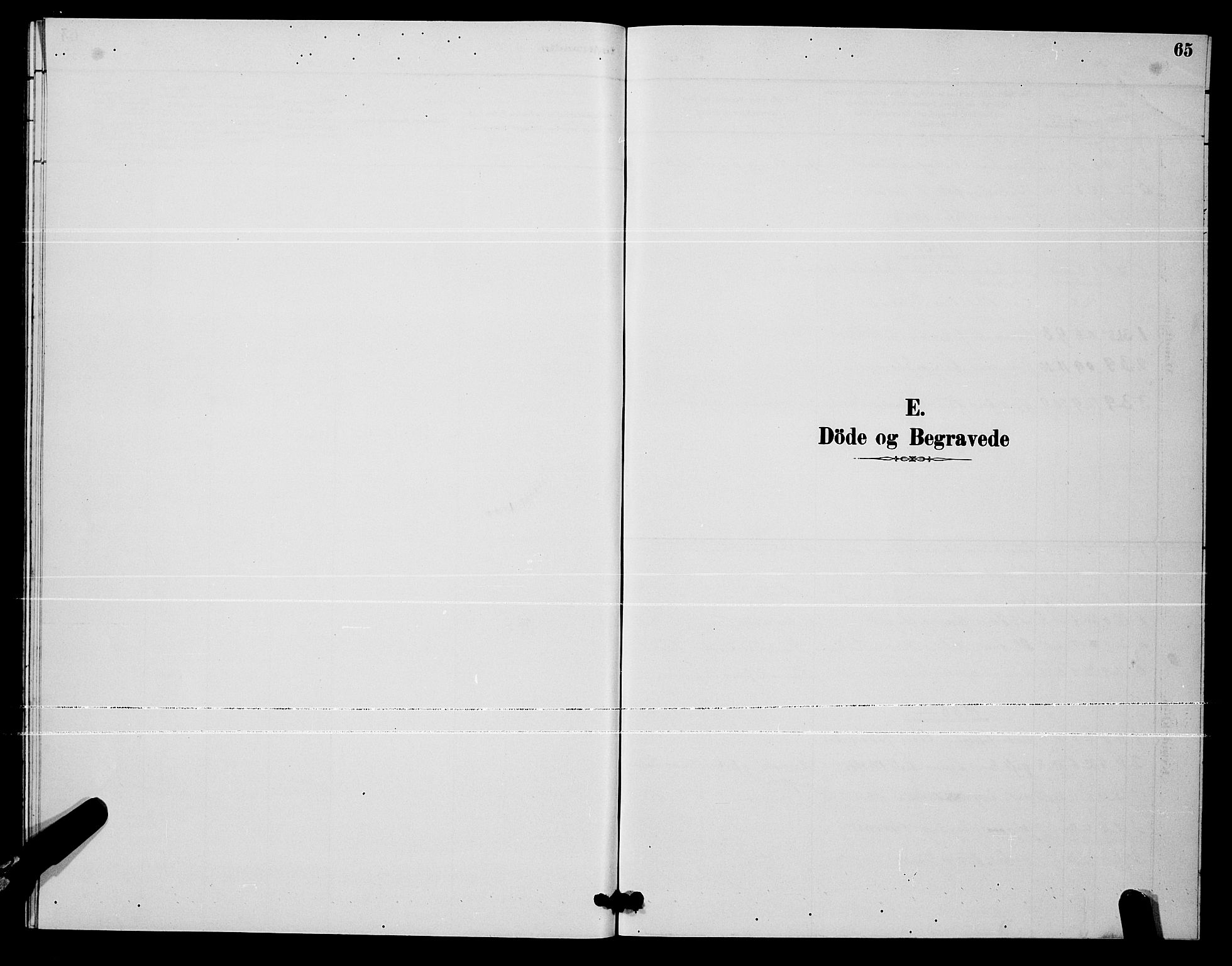 Ministerialprotokoller, klokkerbøker og fødselsregistre - Nordland, SAT/A-1459/811/L0169: Parish register (copy) no. 811C01, 1884-1894, p. 65
