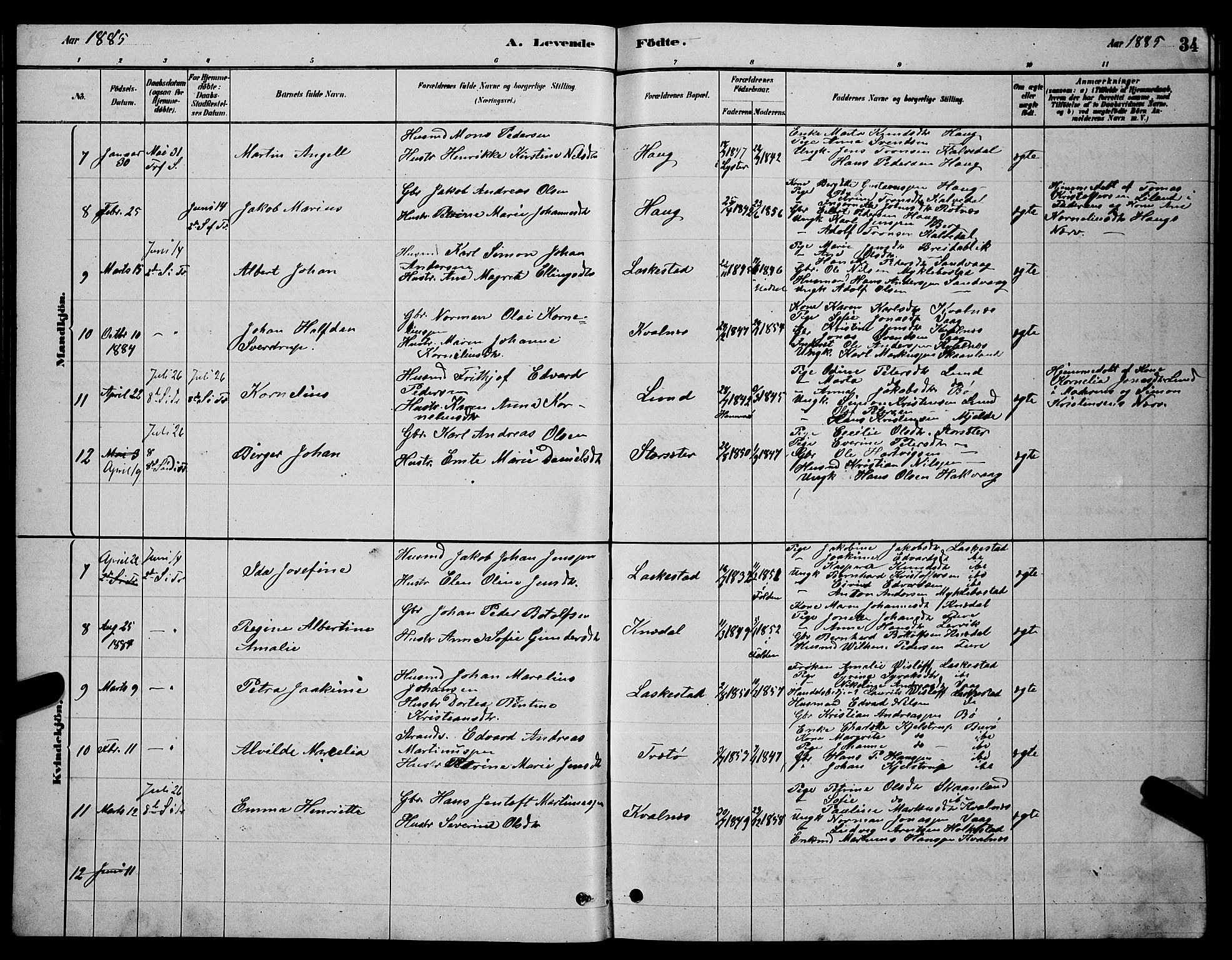 Ministerialprotokoller, klokkerbøker og fødselsregistre - Nordland, AV/SAT-A-1459/855/L0816: Parish register (copy) no. 855C05, 1879-1894, p. 34