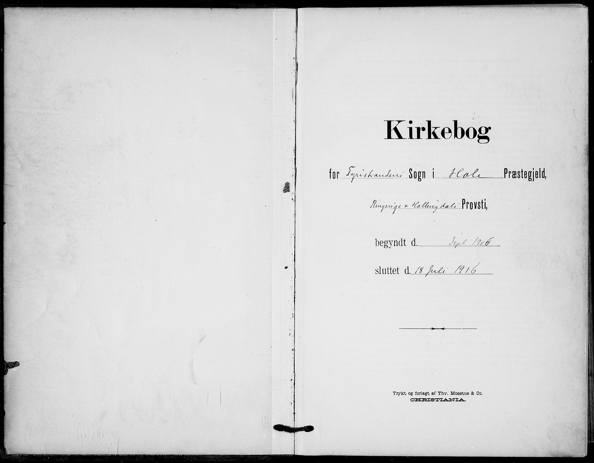 Hole kirkebøker, AV/SAKO-A-228/F/Fb/L0003: Parish register (official) no. II 3, 1906-1916