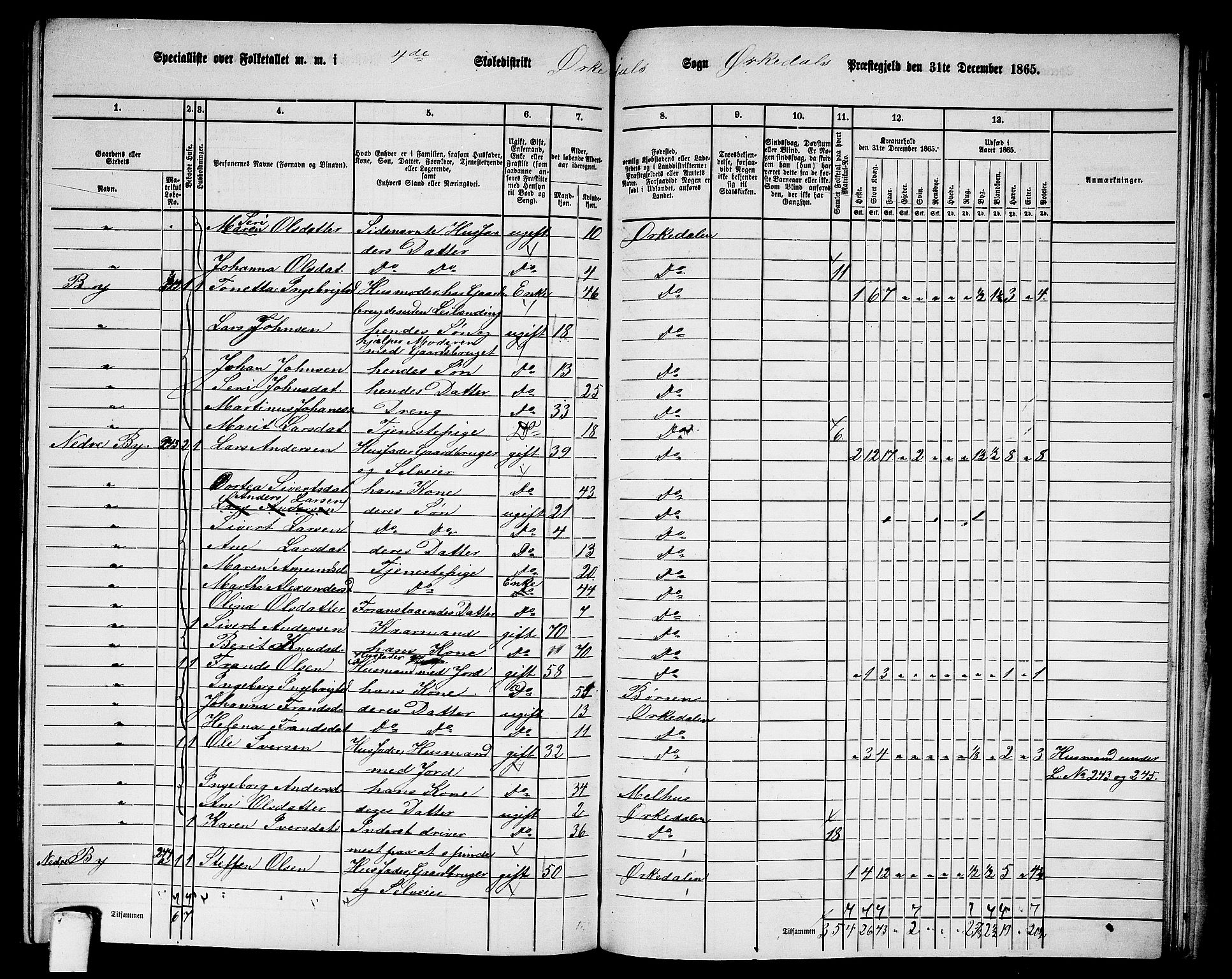 RA, 1865 census for Orkdal, 1865, p. 227