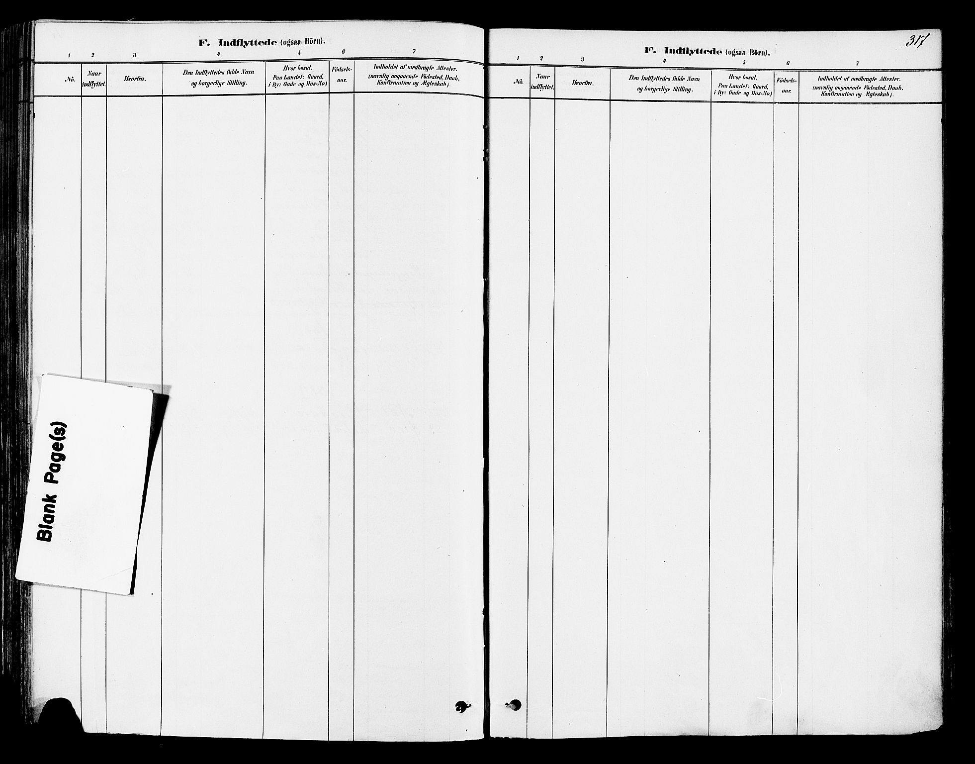 Ringsaker prestekontor, AV/SAH-PREST-014/K/Ka/L0012: Parish register (official) no. 12, 1879-1890, p. 317