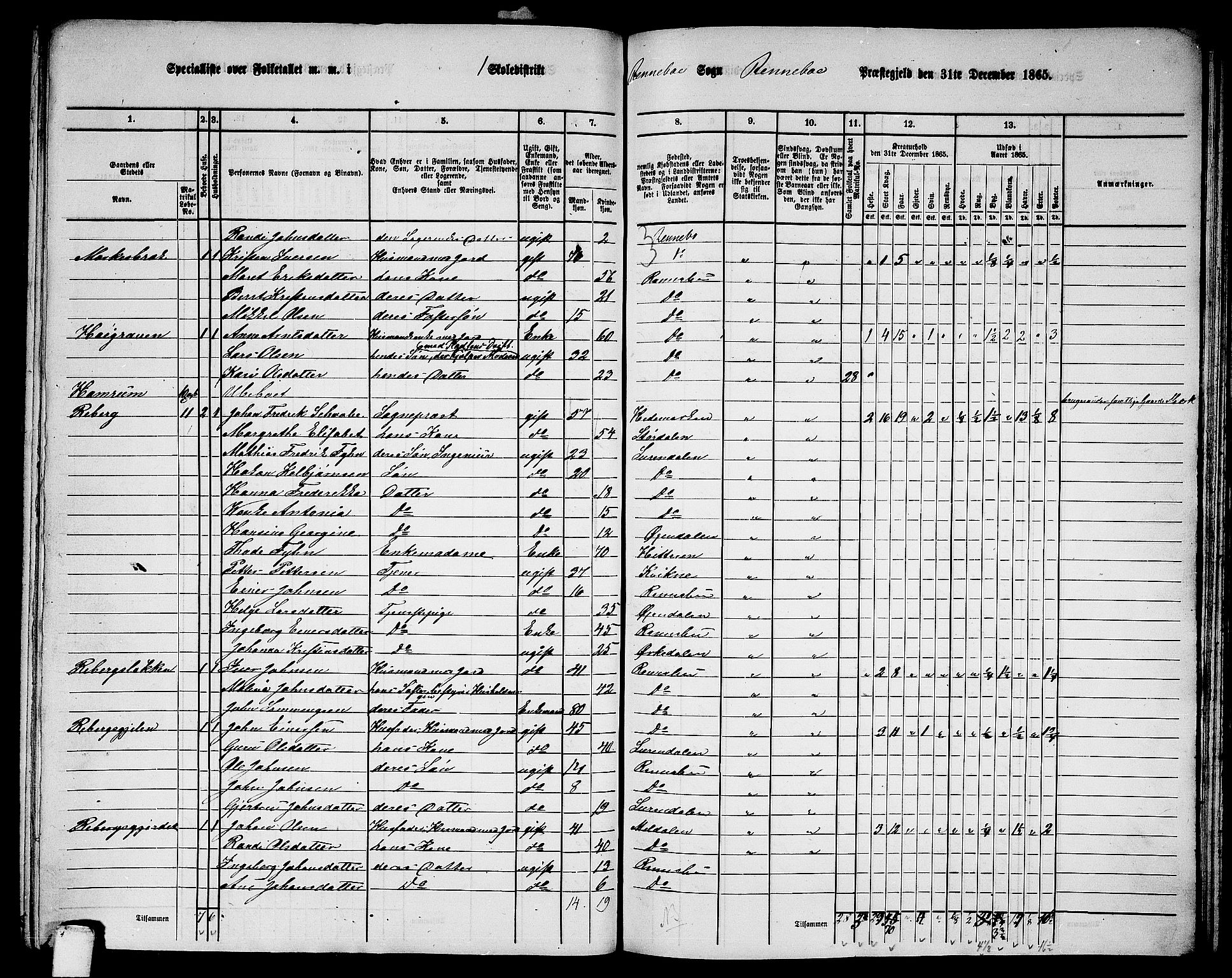 RA, 1865 census for Rennebu, 1865, p. 9