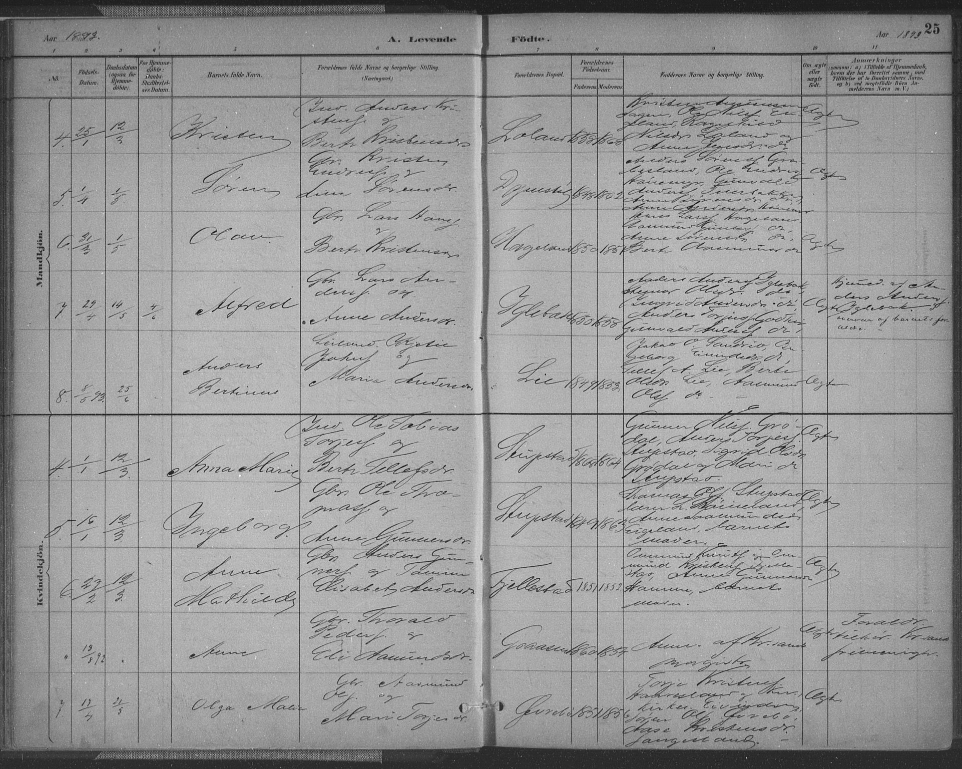 Vennesla sokneprestkontor, AV/SAK-1111-0045/Fa/Fac/L0009: Parish register (official) no. A 9, 1884-1901, p. 25