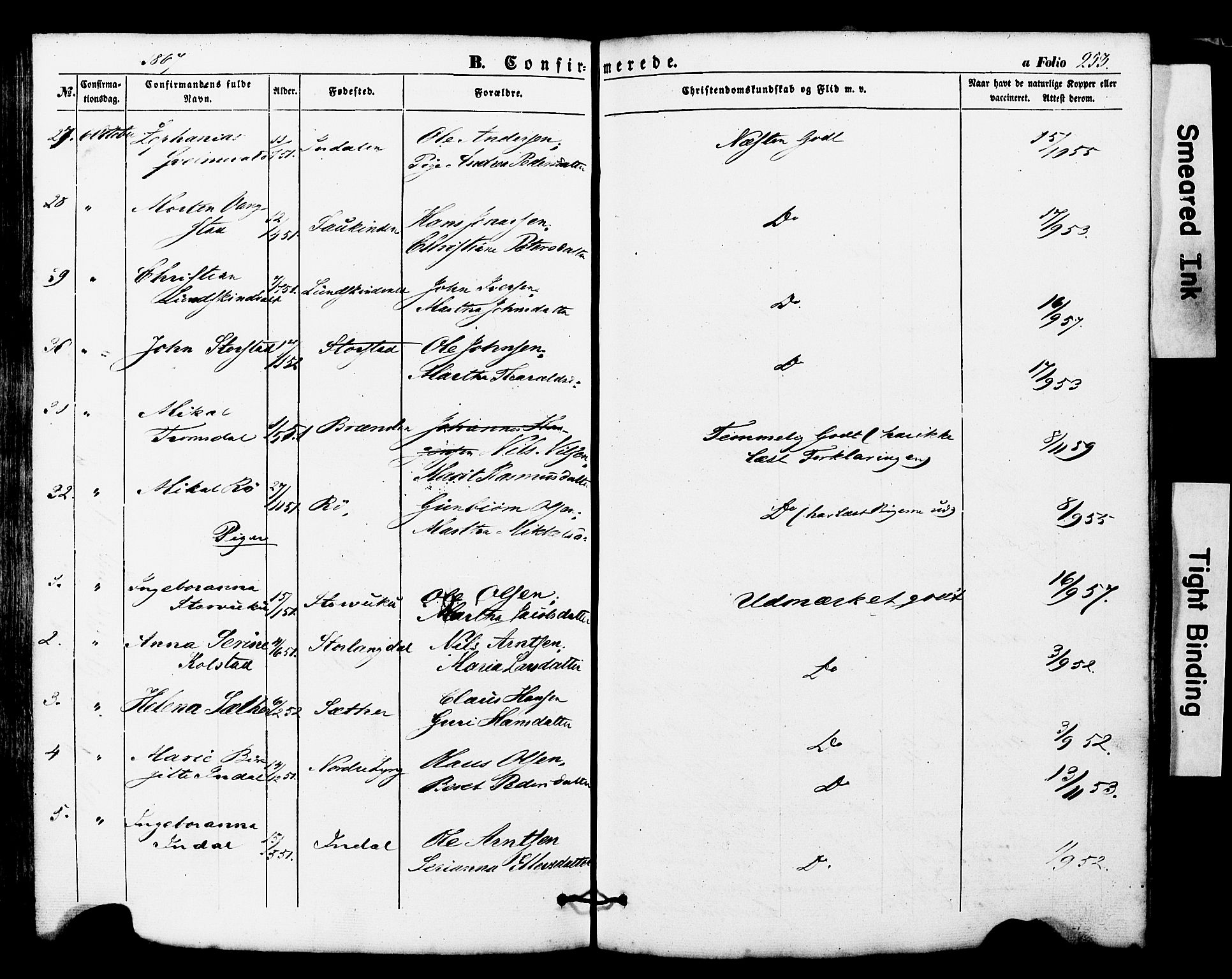 Ministerialprotokoller, klokkerbøker og fødselsregistre - Nord-Trøndelag, AV/SAT-A-1458/724/L0268: Parish register (copy) no. 724C04, 1846-1878, p. 253