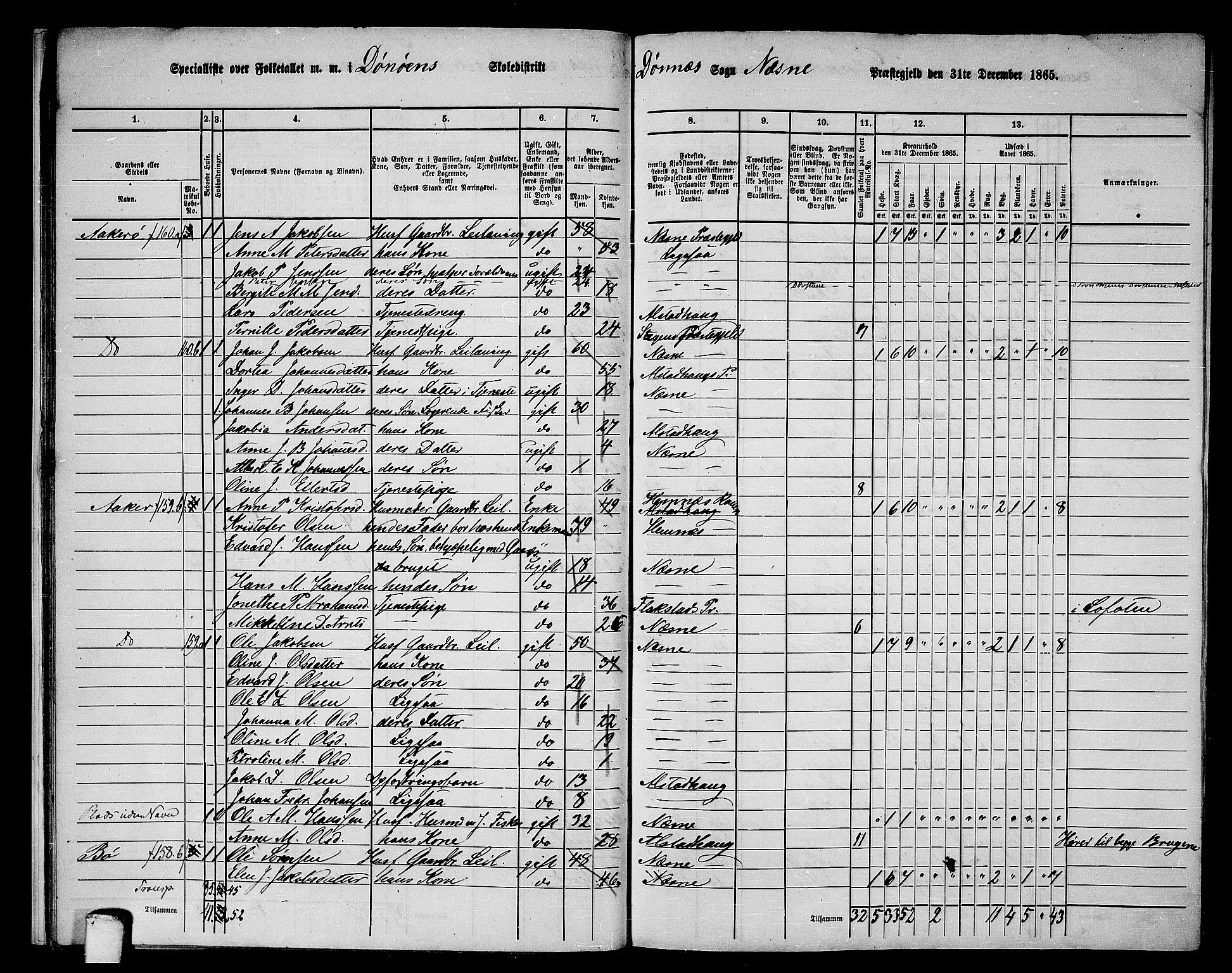 RA, 1865 census for Nesna, 1865, p. 21