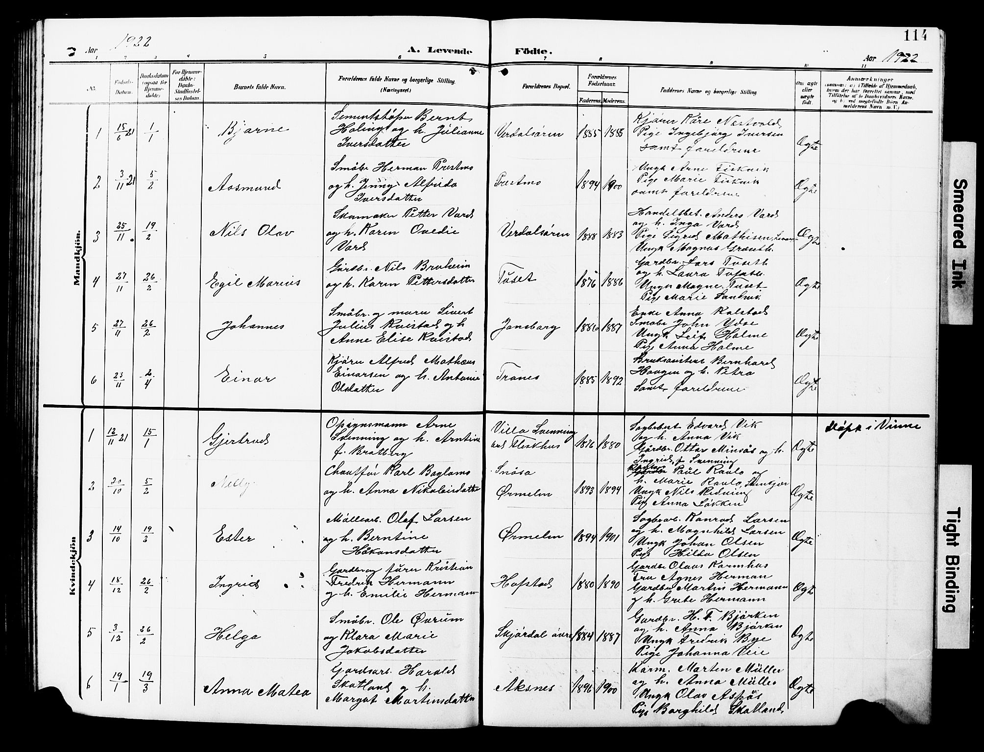 Ministerialprotokoller, klokkerbøker og fødselsregistre - Nord-Trøndelag, AV/SAT-A-1458/723/L0258: Parish register (copy) no. 723C06, 1908-1927, p. 114