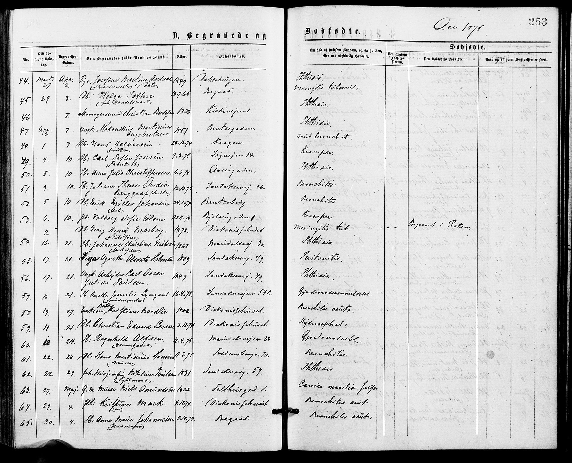 Gamle Aker prestekontor Kirkebøker, SAO/A-10617a/G/L0004: Parish register (copy) no. 4, 1875-1879, p. 253