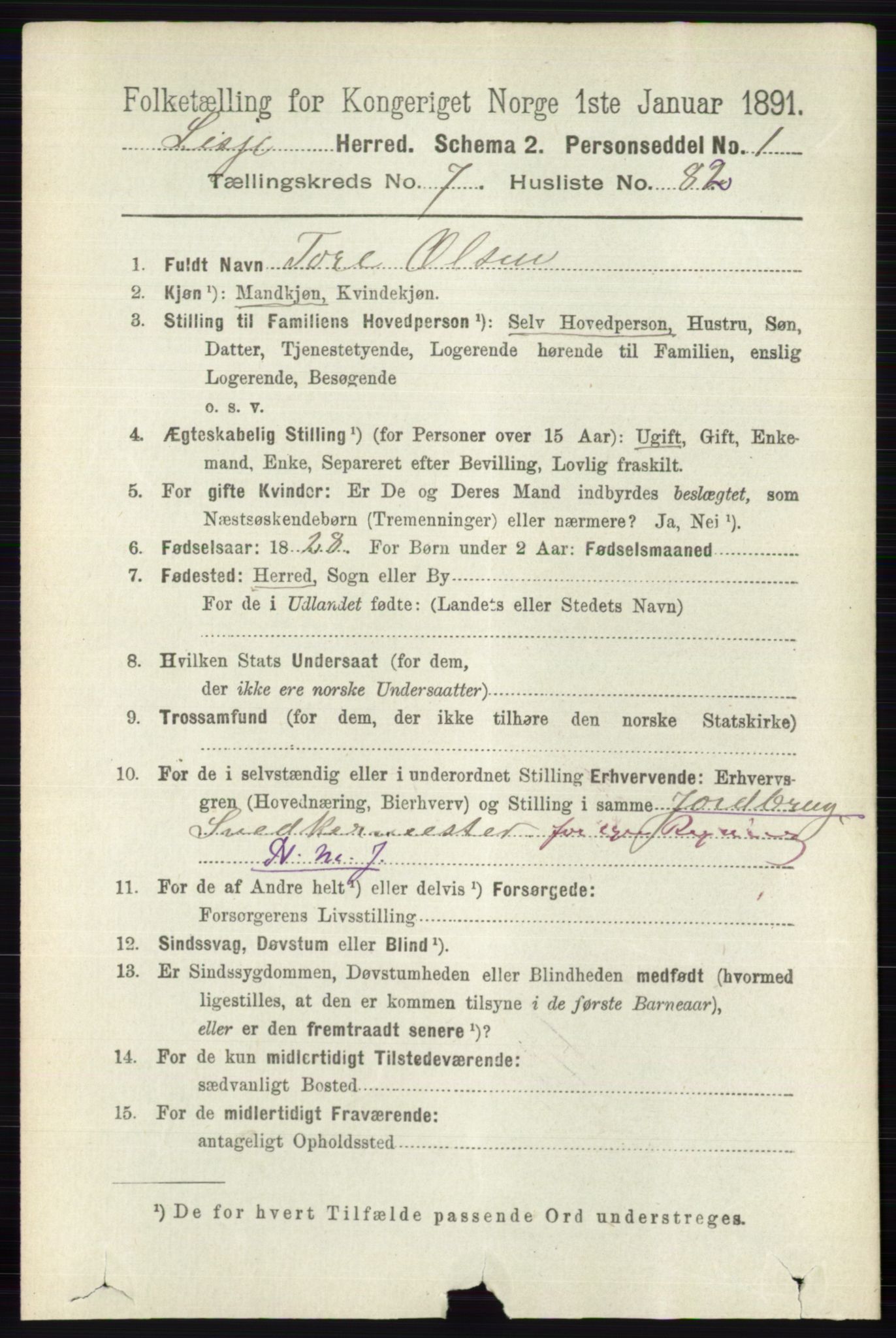 RA, 1891 census for 0512 Lesja, 1891, p. 2899